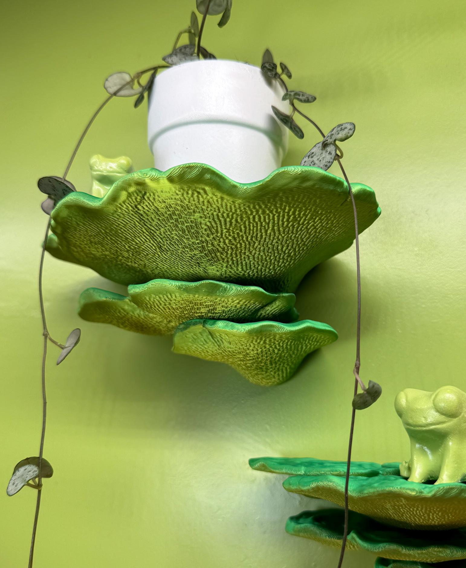 Wall shelf “Gibbosa Fungus” 3d model