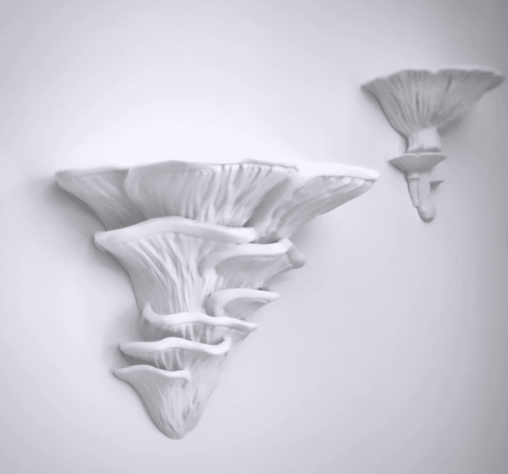 Mushroom shelf “Pleurotus Djamor” - printed in white PLA  - 3d model