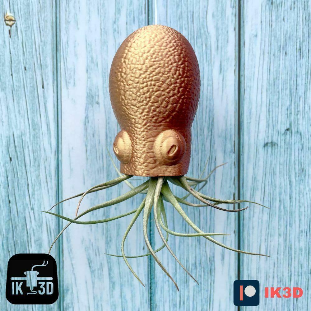 Hanging Octopus Air Plant Holder 3d model