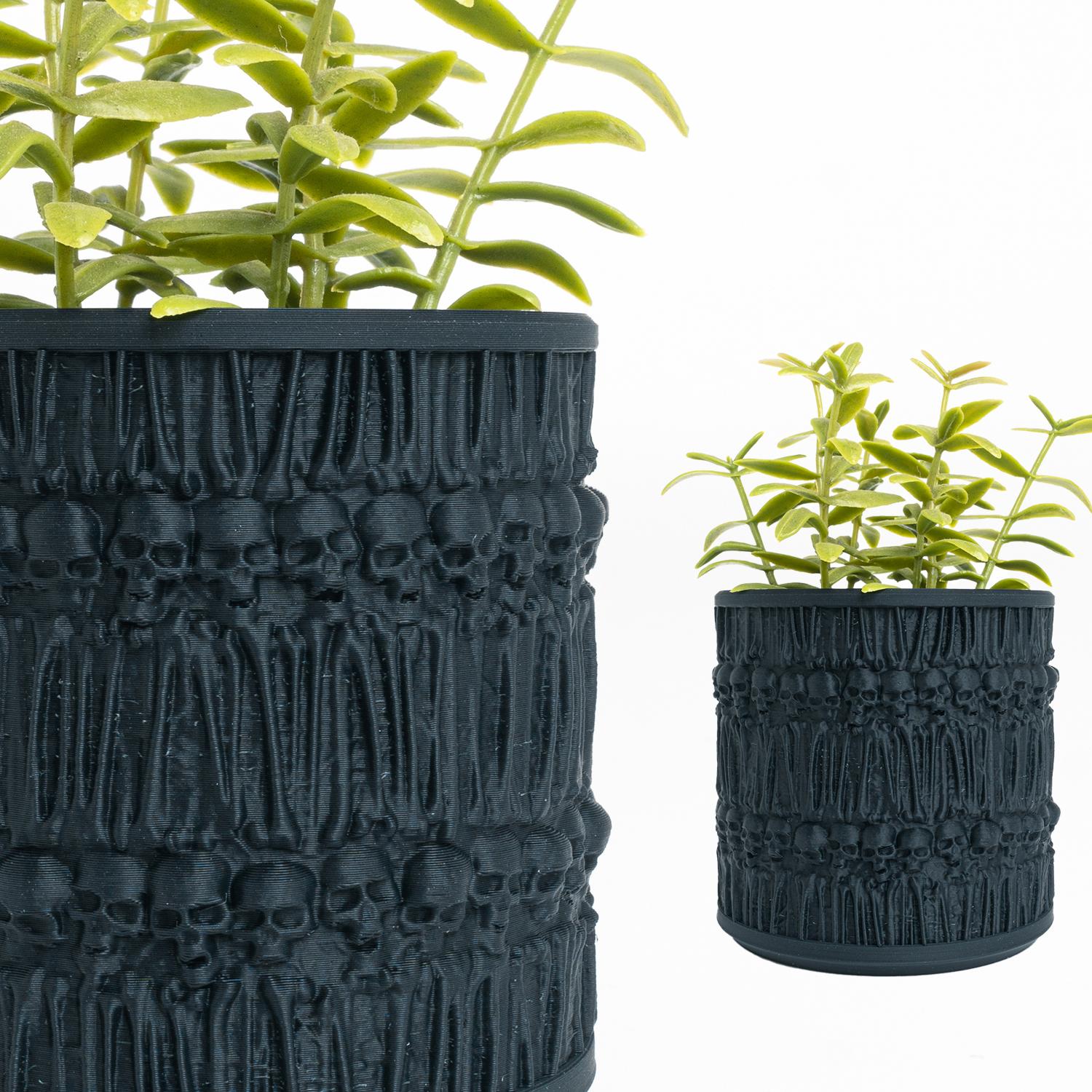 Skulls Planter 3d model