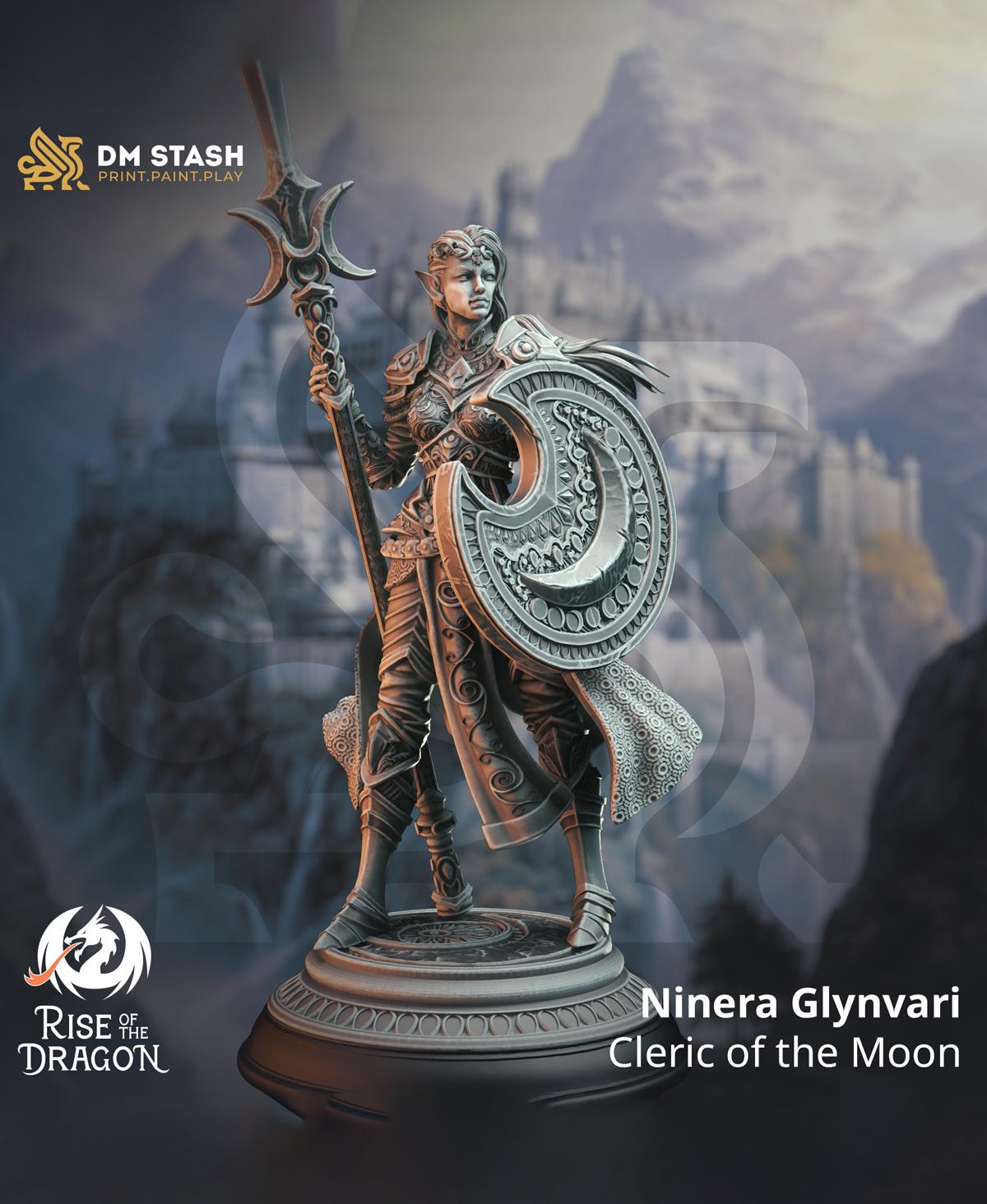 Ninera 3d model