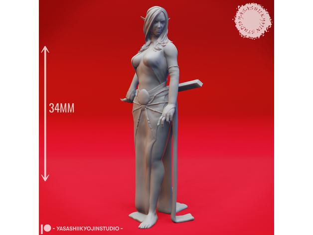 Drow Pair - Tabletop Miniatures 3d model