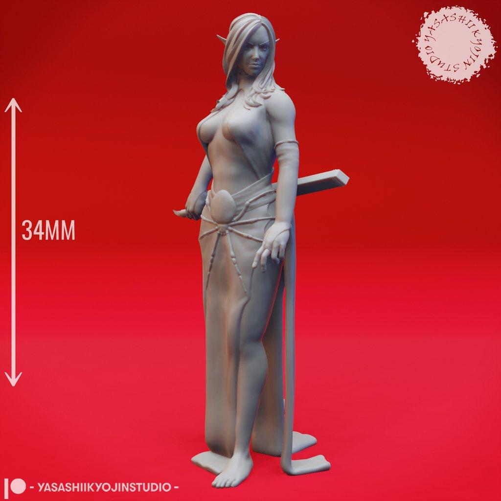 Drow Pair - Tabletop Miniatures 3d model