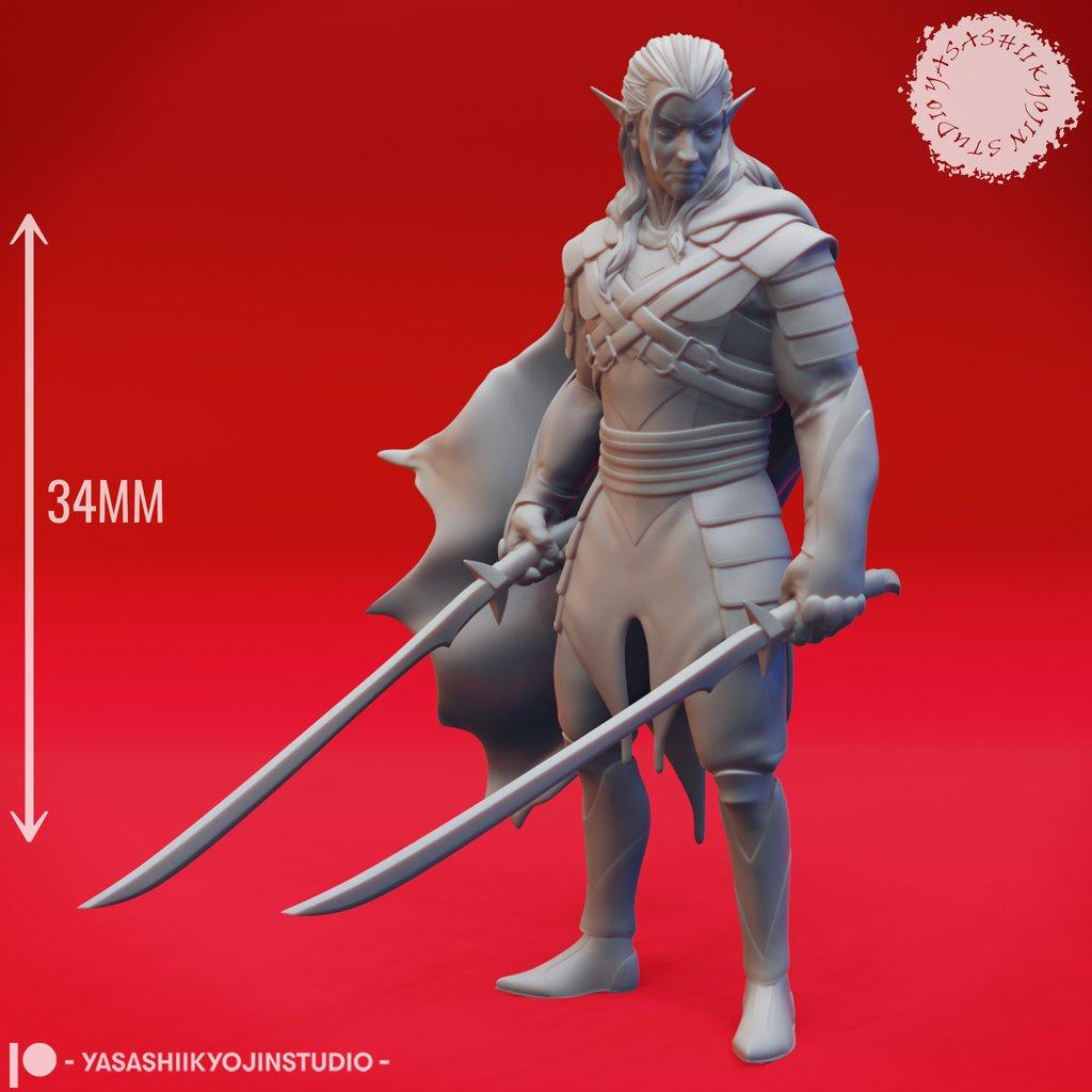 Drow Pair - Tabletop Miniatures 3d model