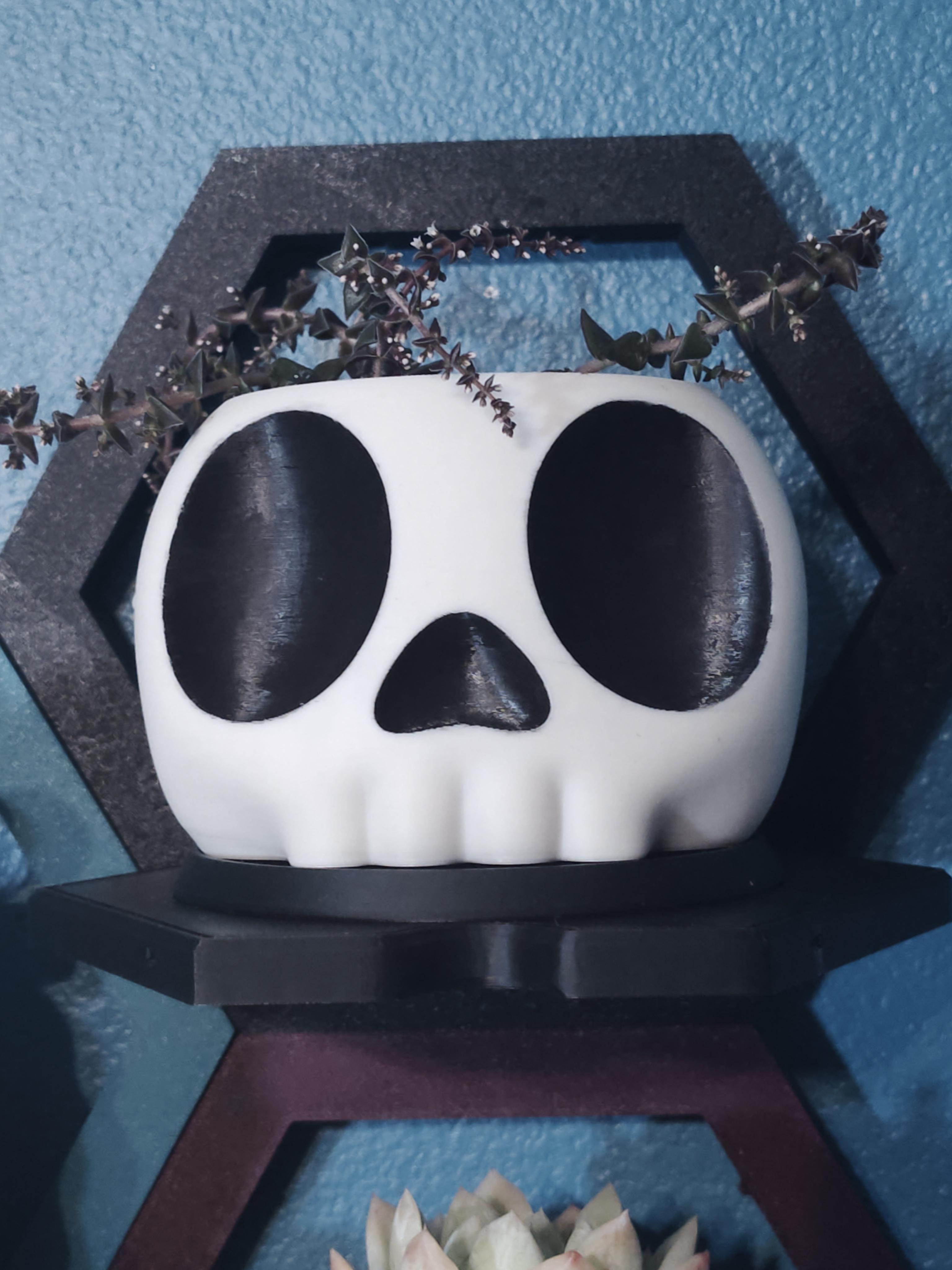 Skull Bin - Turned this guy into a planter with a vine succulent so it looks like it has tentacles.  I love it! - 3d model