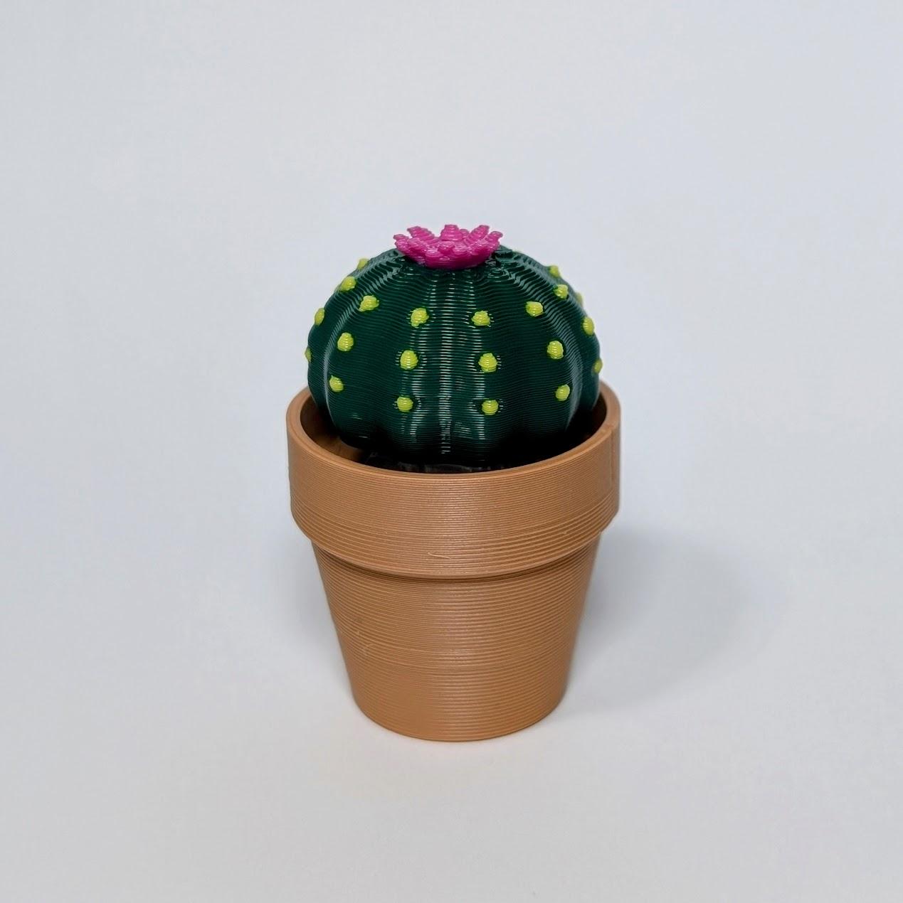 Clicky Cacti - Fidget Toy with Mechanical Switches - Pocket Plants 3d model