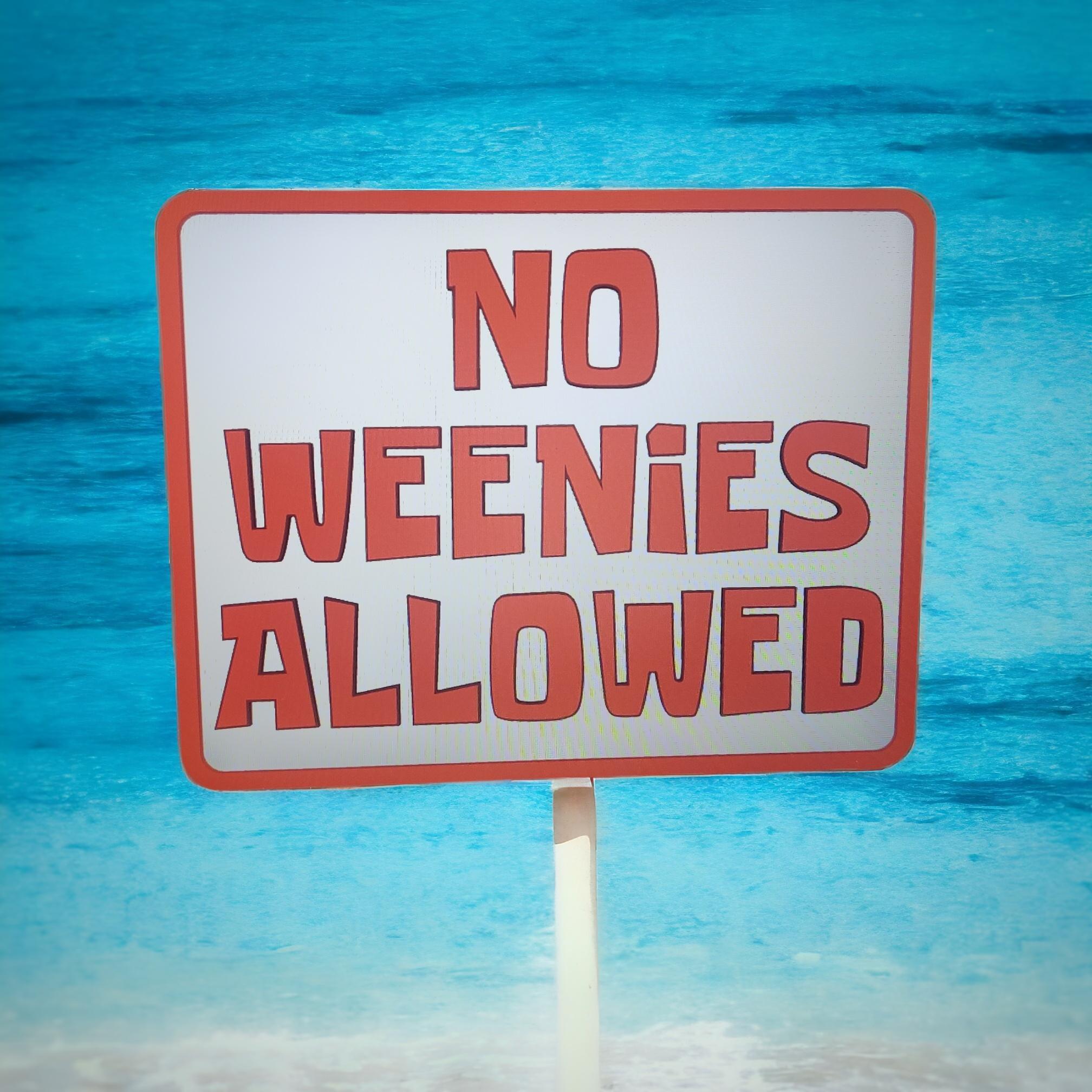 No Weenies Allowed  3d model