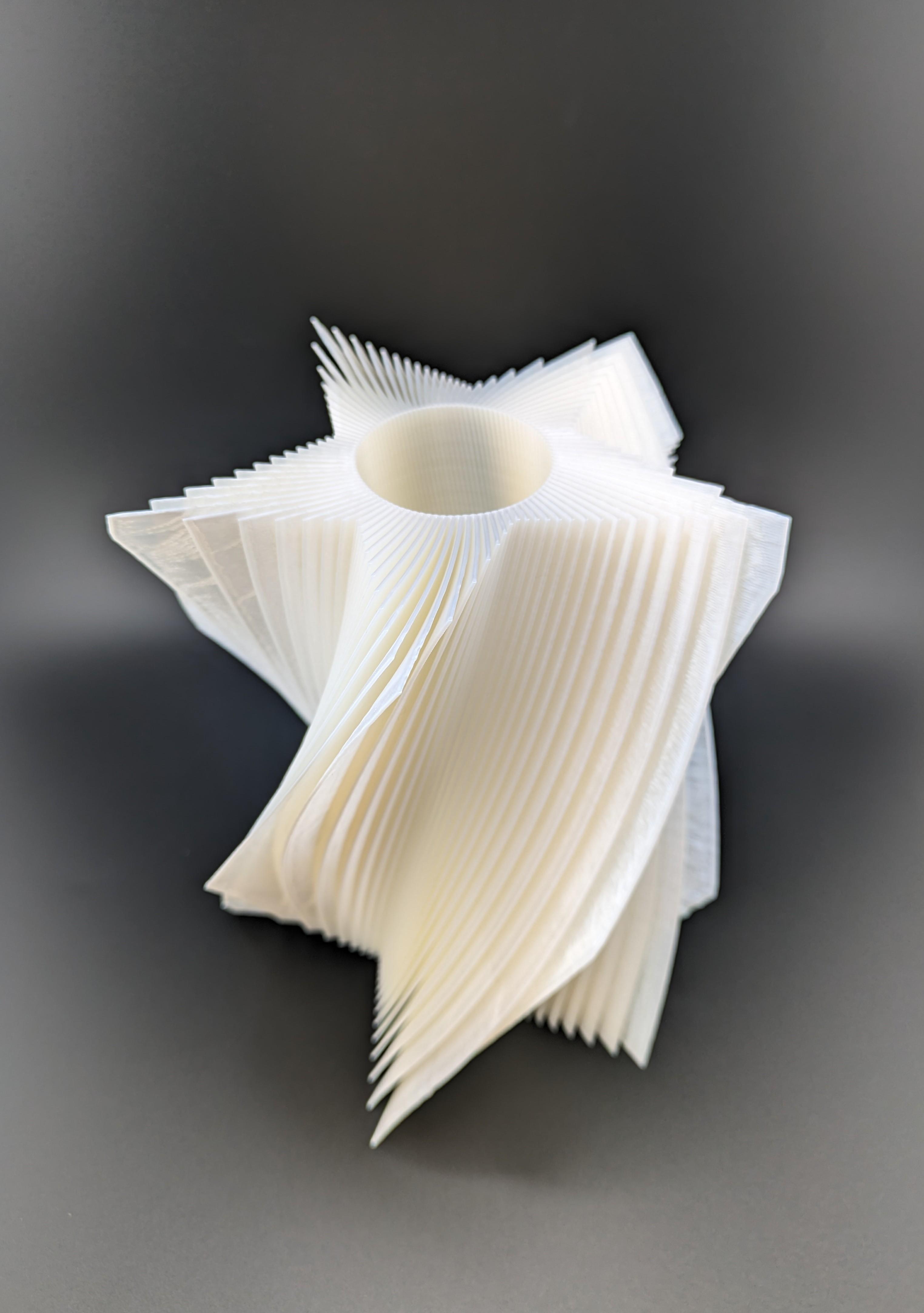 Twisted Star Fin Vase 3d model