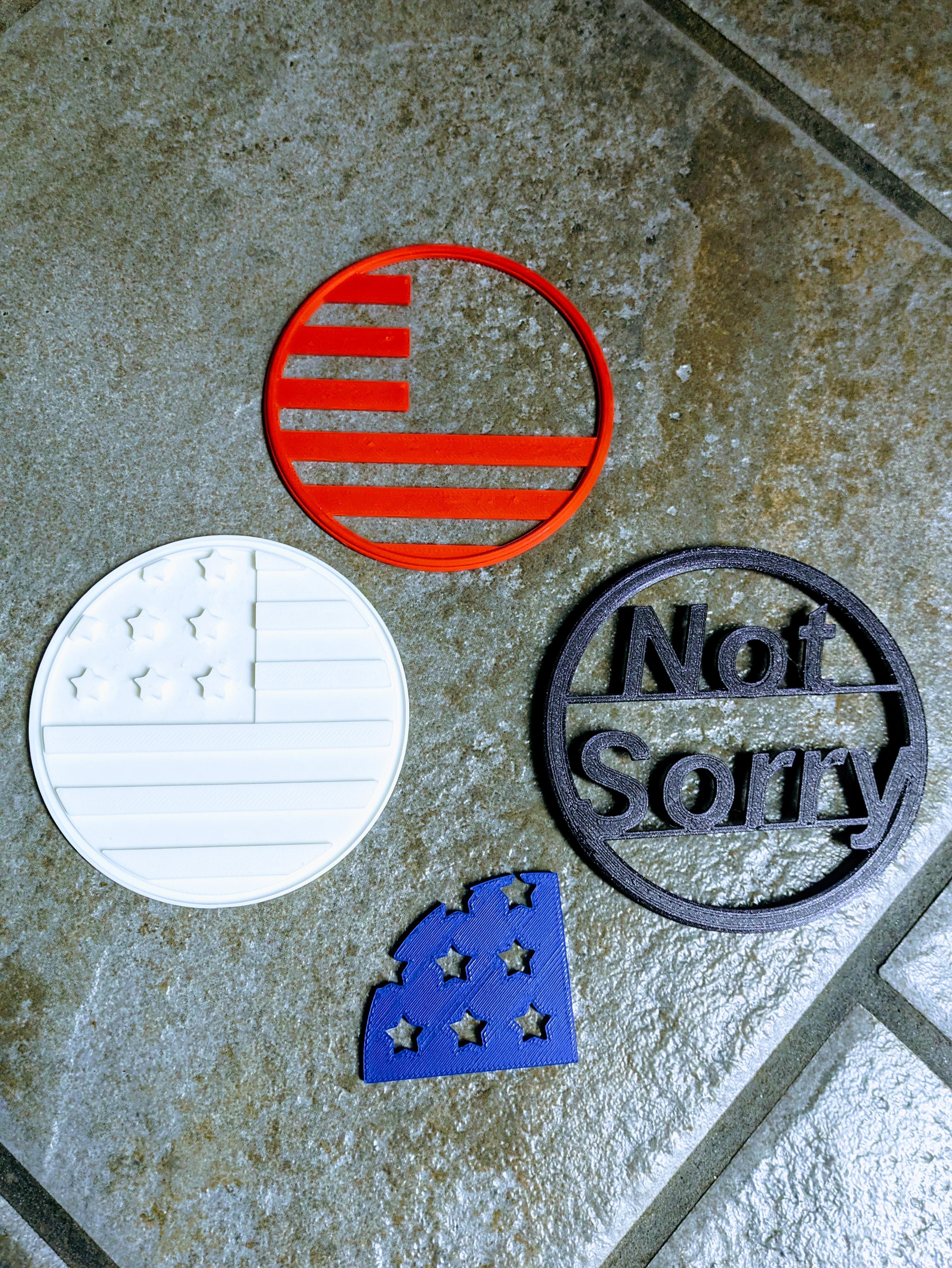 American "Not Sorry" Coaster 3d model