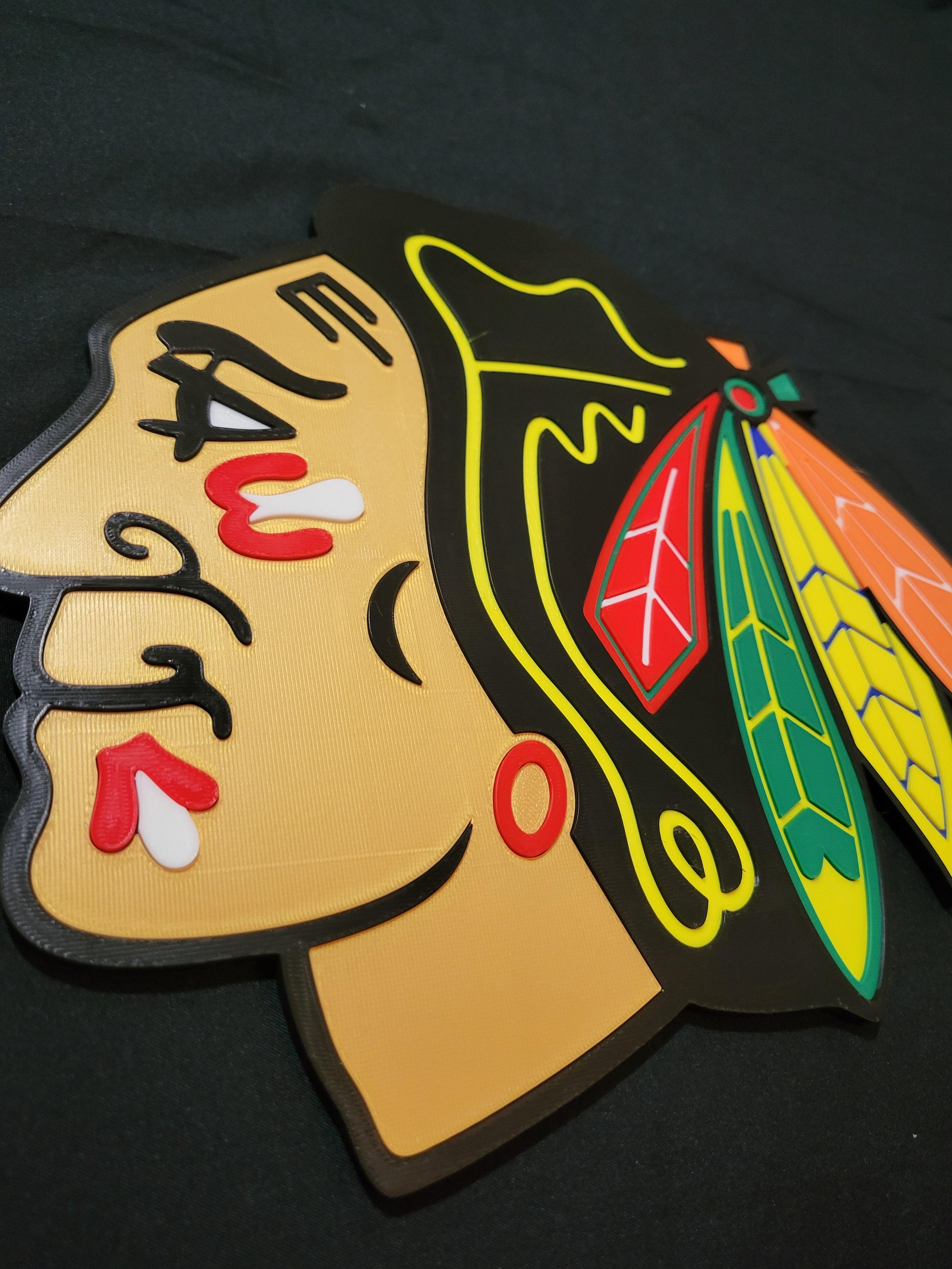 Chicago Blackhawks 3d model