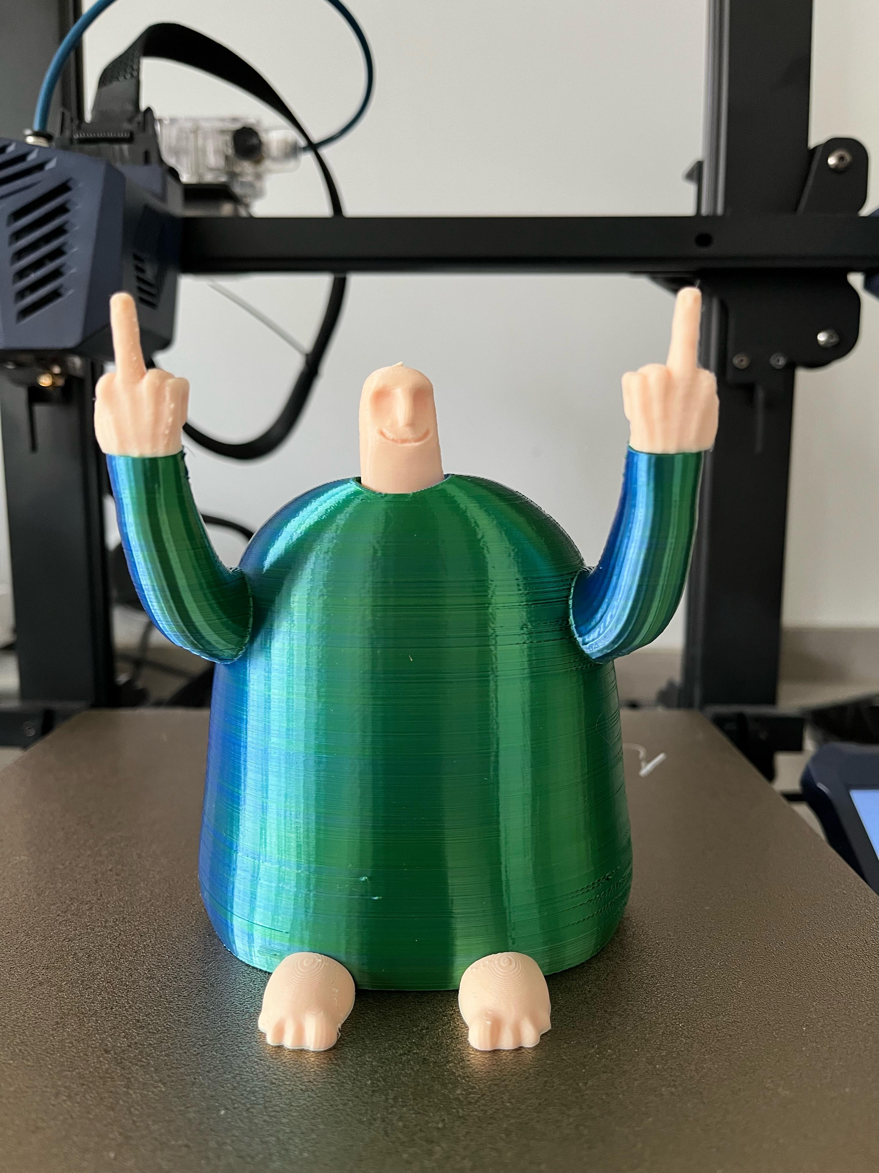 Mr No So Nice Guy / Hiddel Middle Finger / No Supports 3d model