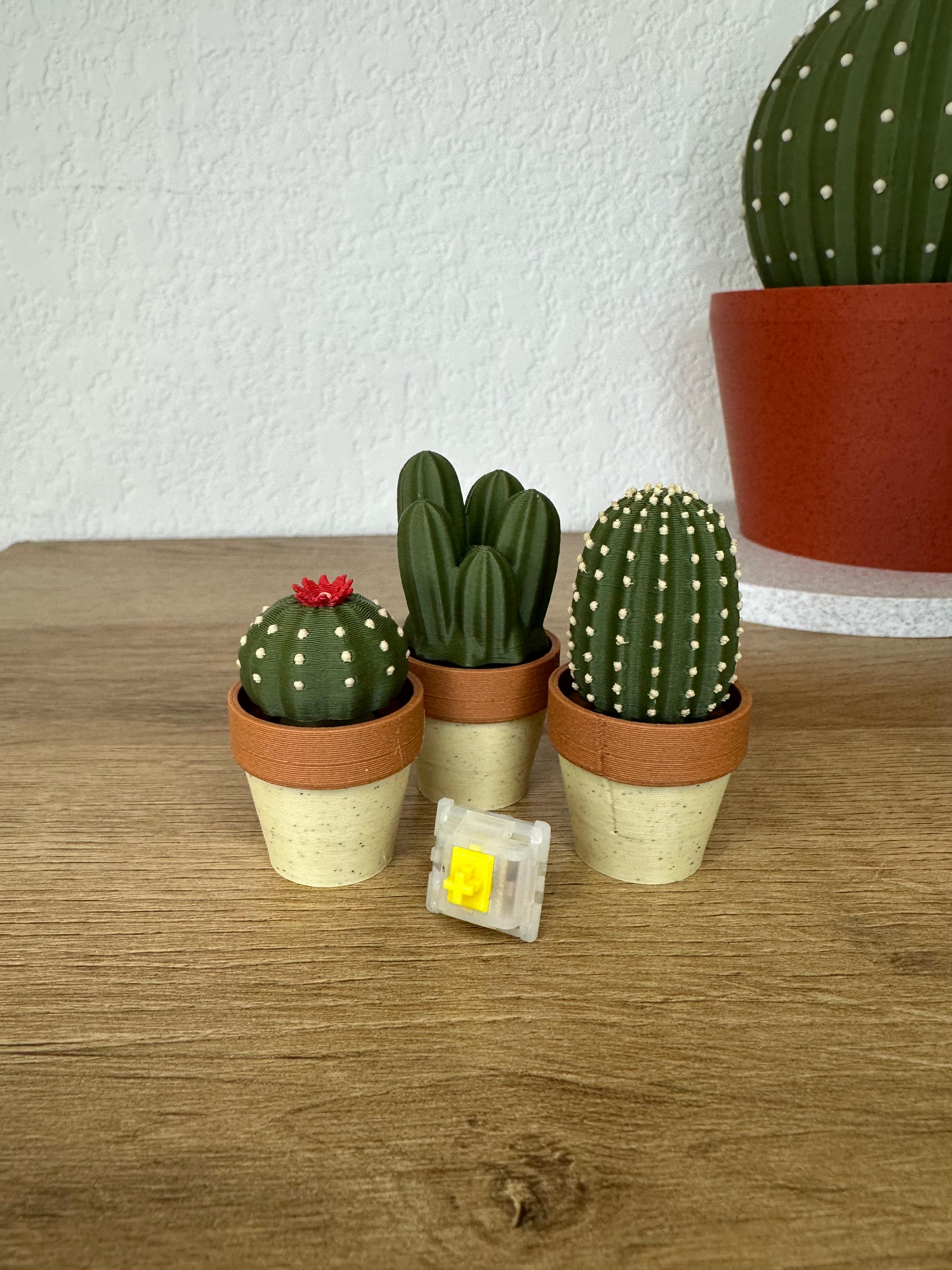 Clicky Cacti - Fidget Toy with Mechanical Switches - Pocket Plants 3d model