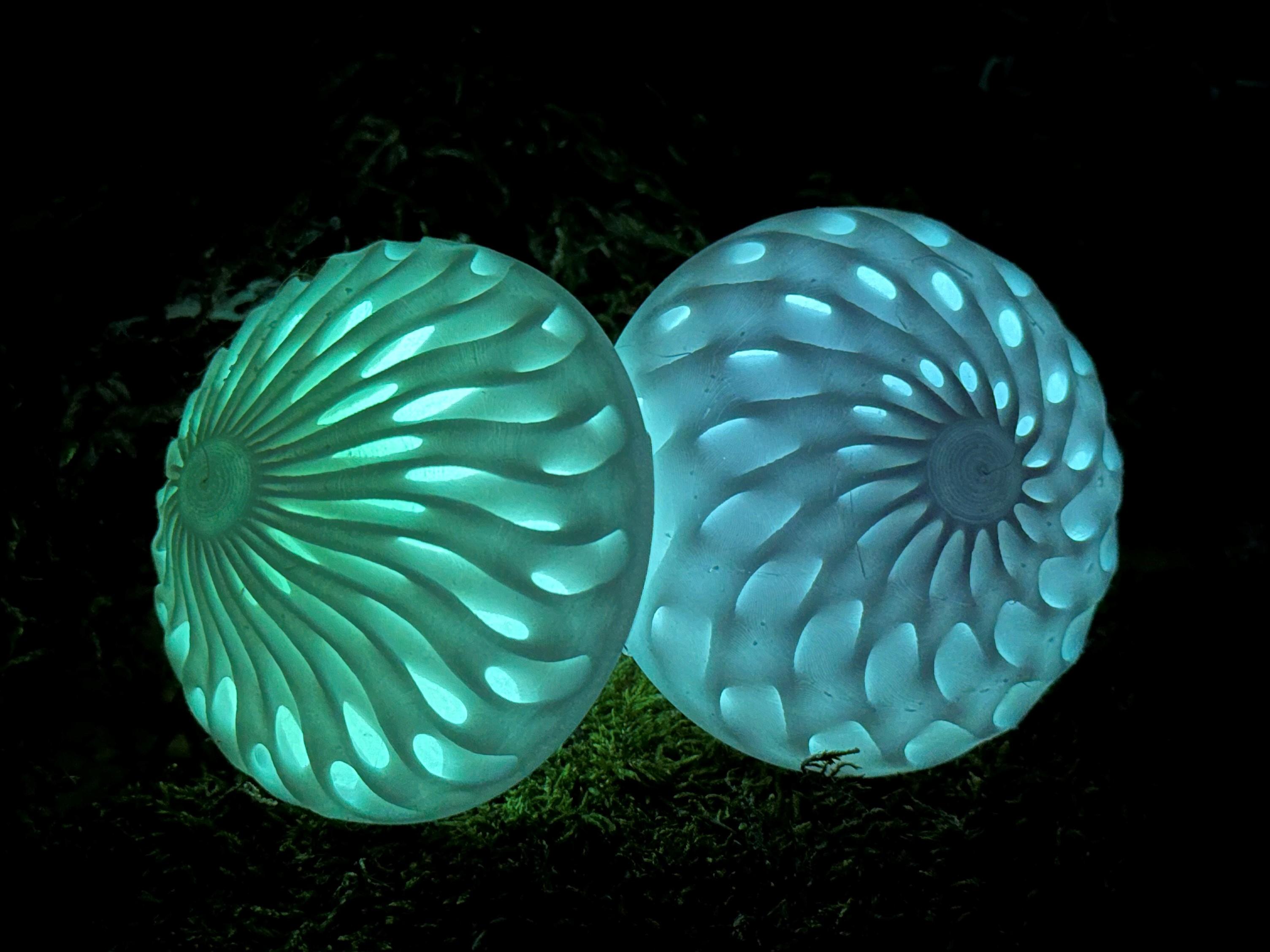 Dual Colour Modular Mushroom Caps (Glow-in-the-Dark) 3d model