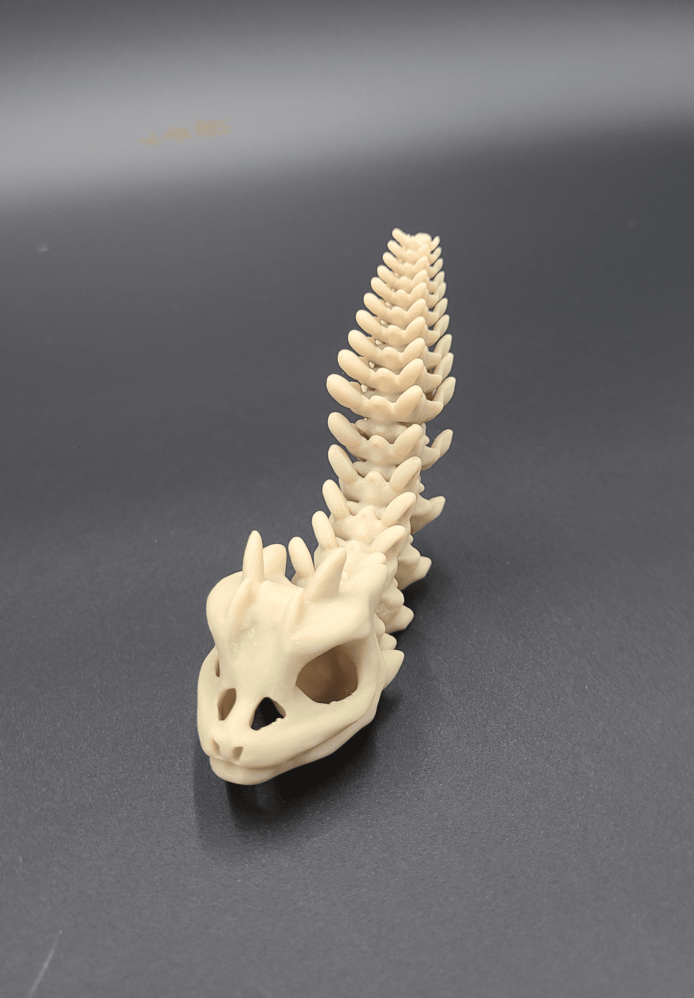 Short Bony Basilisk - Articulated Snap-Flex Fidget (Loose Joints) 3d model