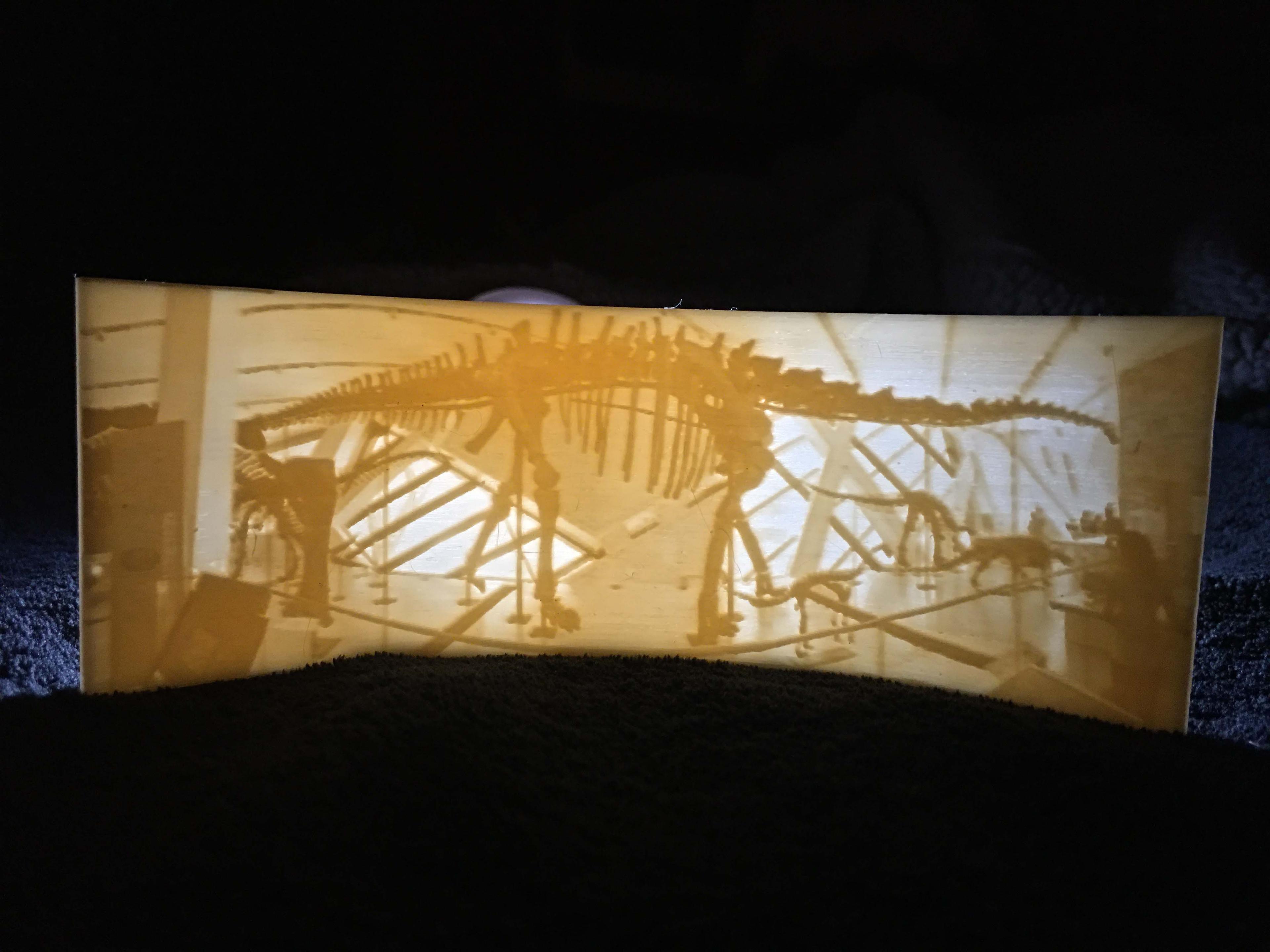 Barosaurus Lithophane 3d model