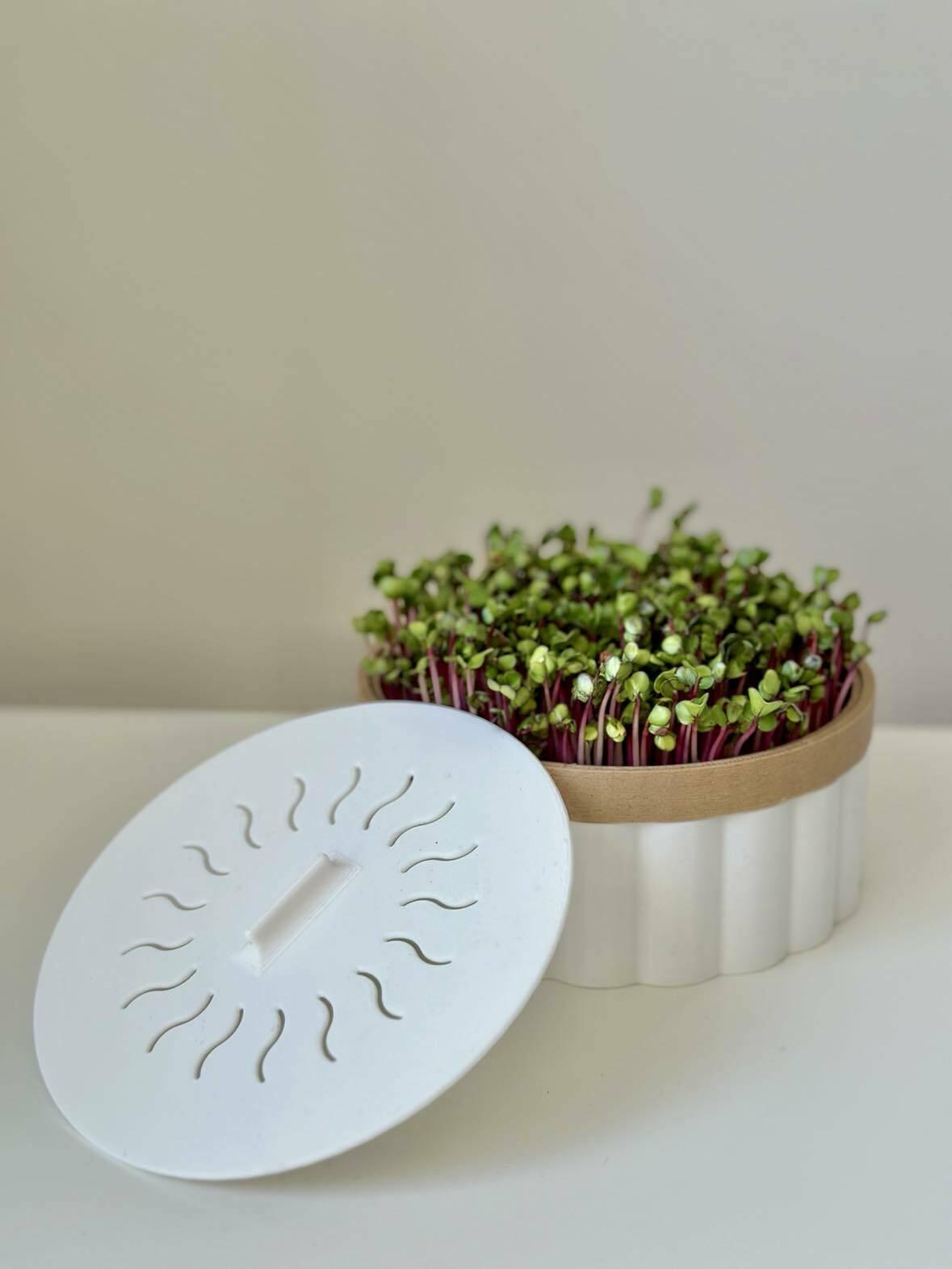 Microgreens hydroponic planter pot 3d model