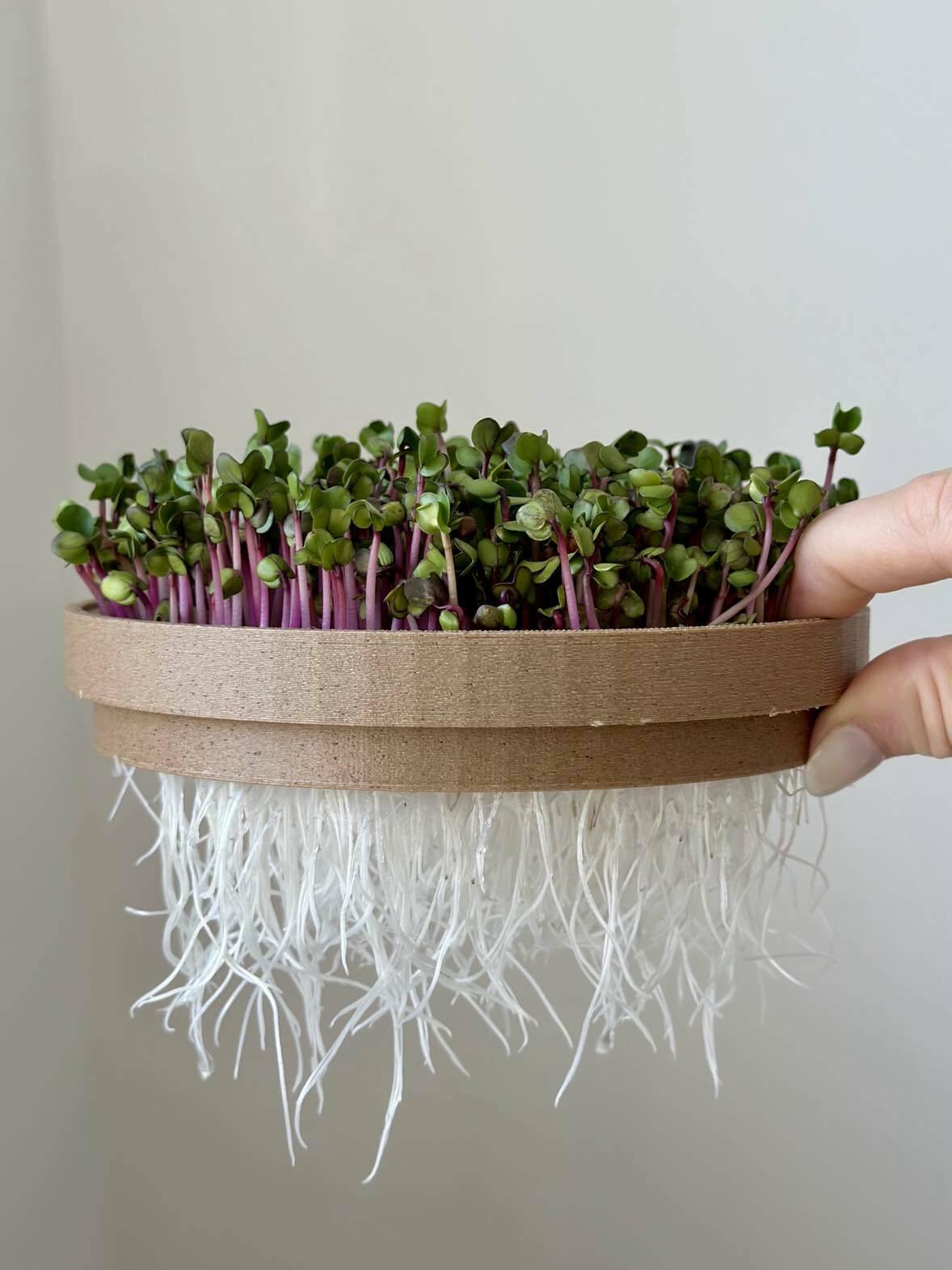 Microgreens hydroponic planter pot 3d model