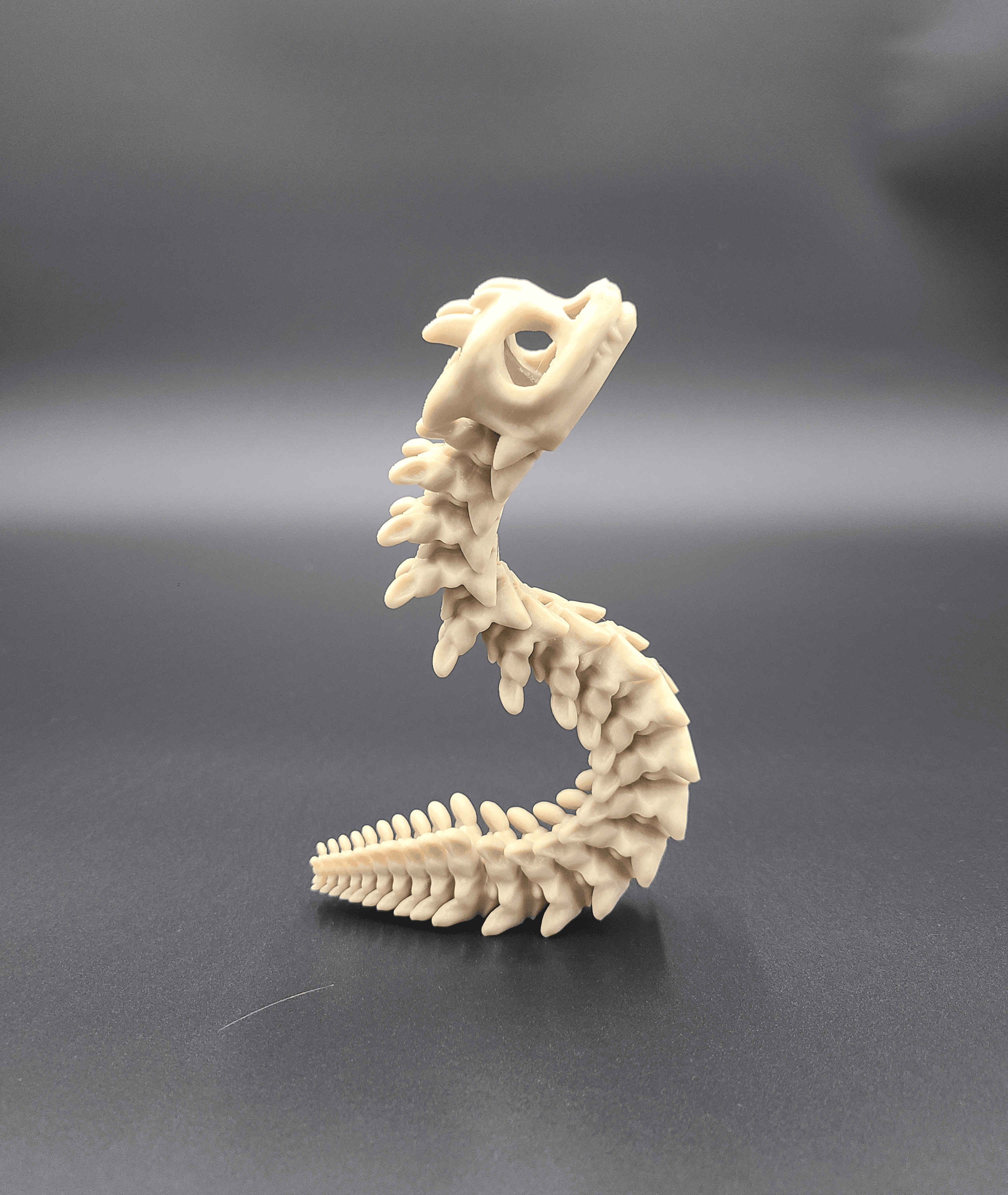 Long Bony Basilisk - Articulated Snap-Flex Fidget (Medium Joints) 3d model