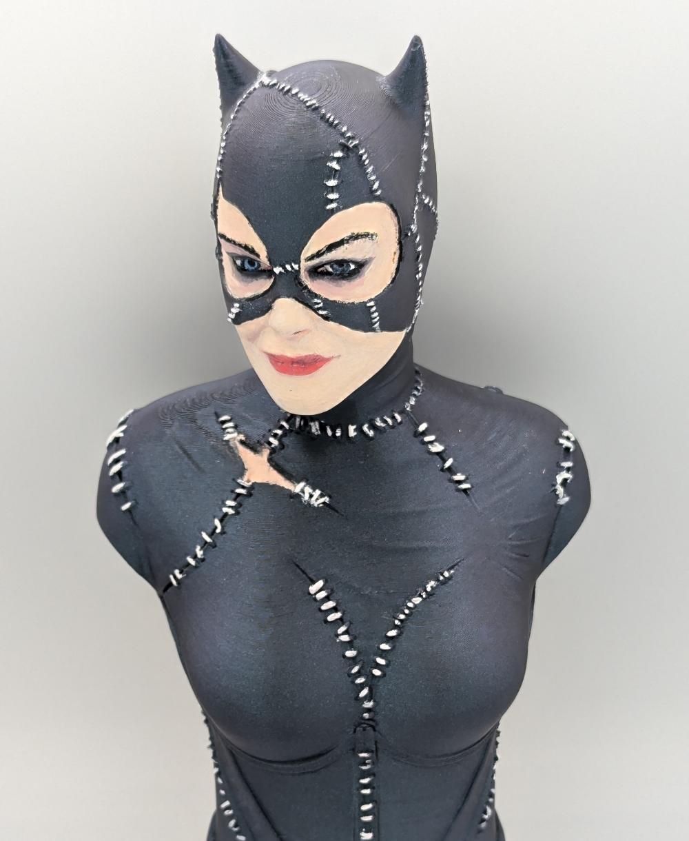 Catwoman (Tim Burton Version) (Pre Supported) 3d model