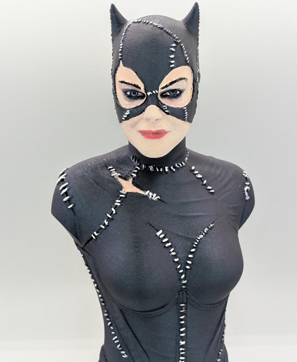 Catwoman (Tim Burton Version) (Pre Supported) 3d model