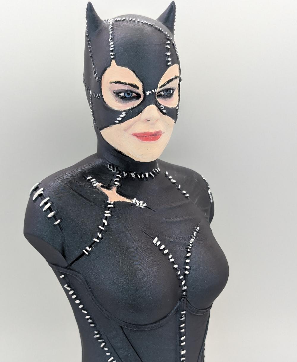 Catwoman (Tim Burton Version) (Pre Supported) 3d model