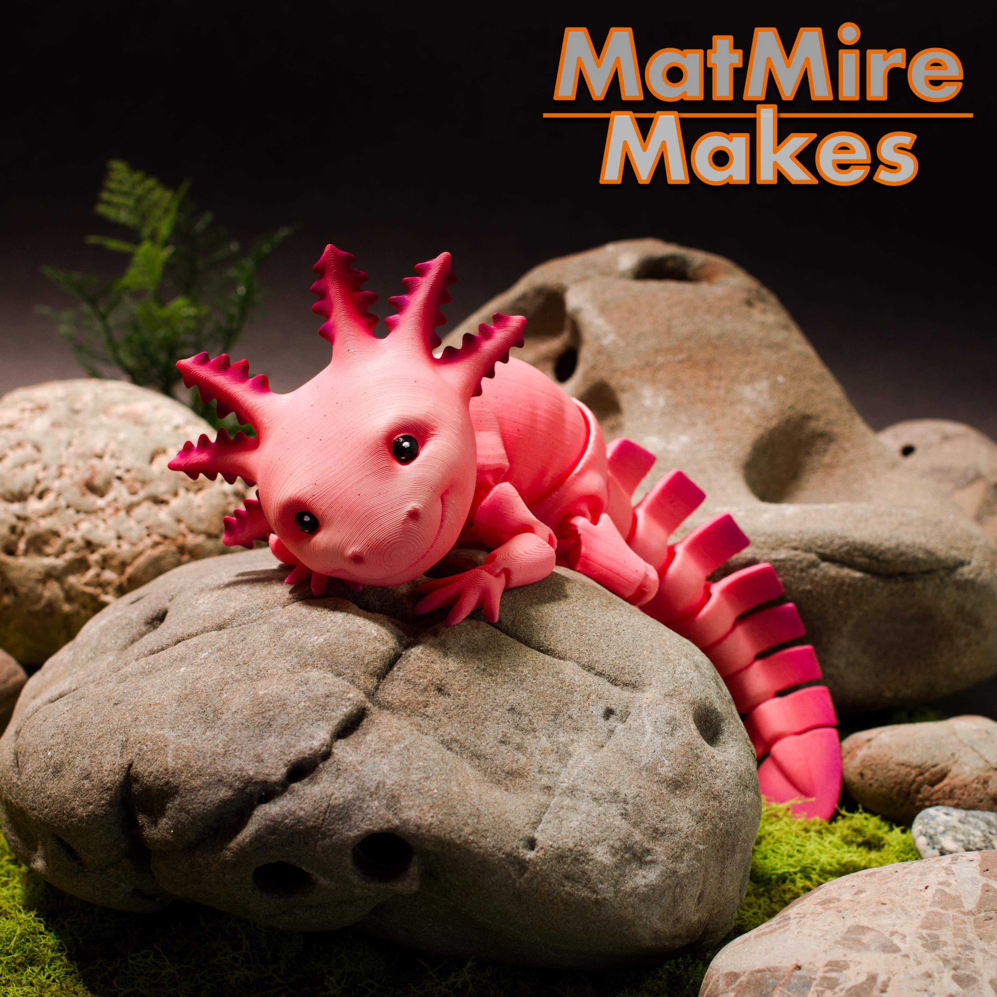 Axolotl - Articulated Figure 3d model