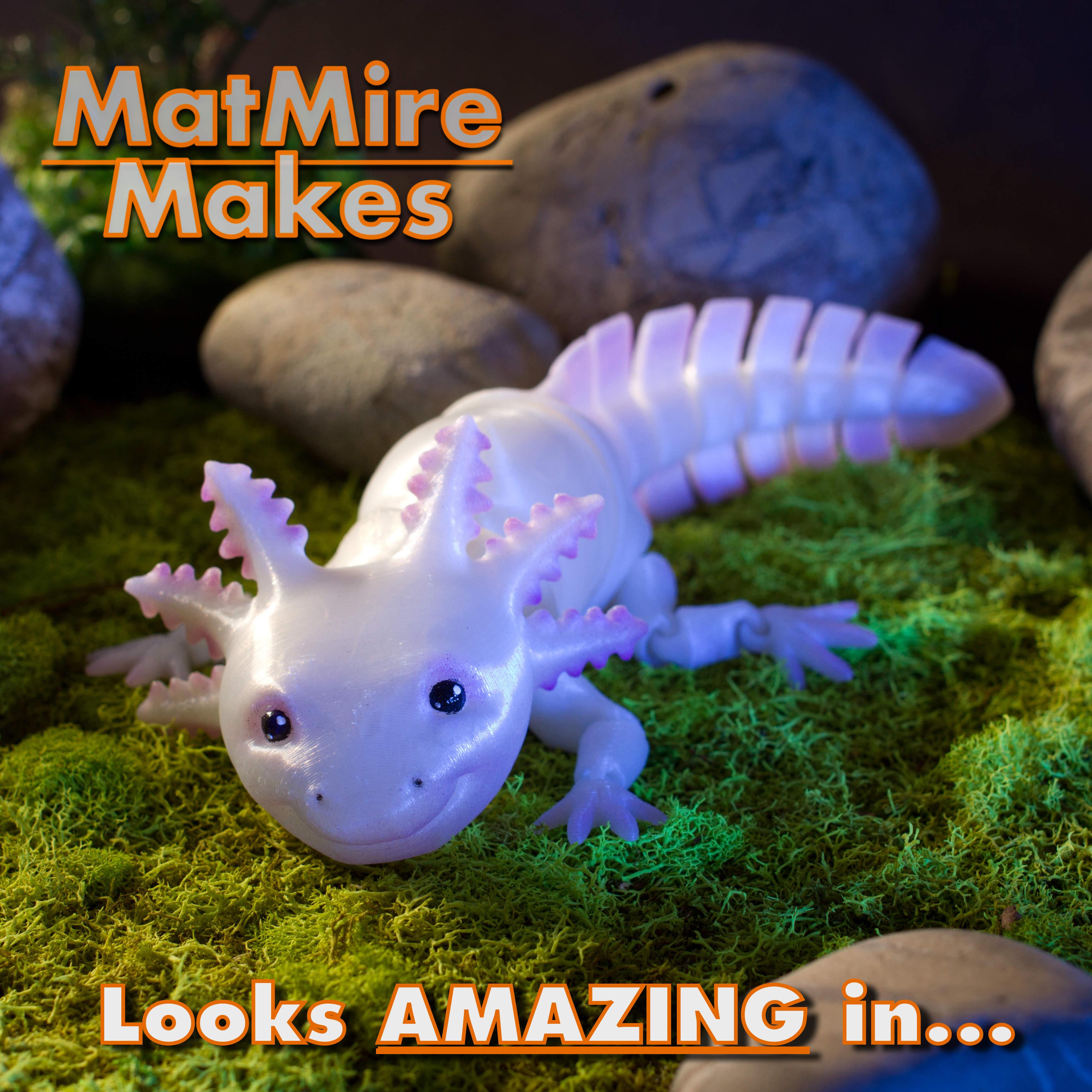 Axolotl - Articulated Figure 3d model