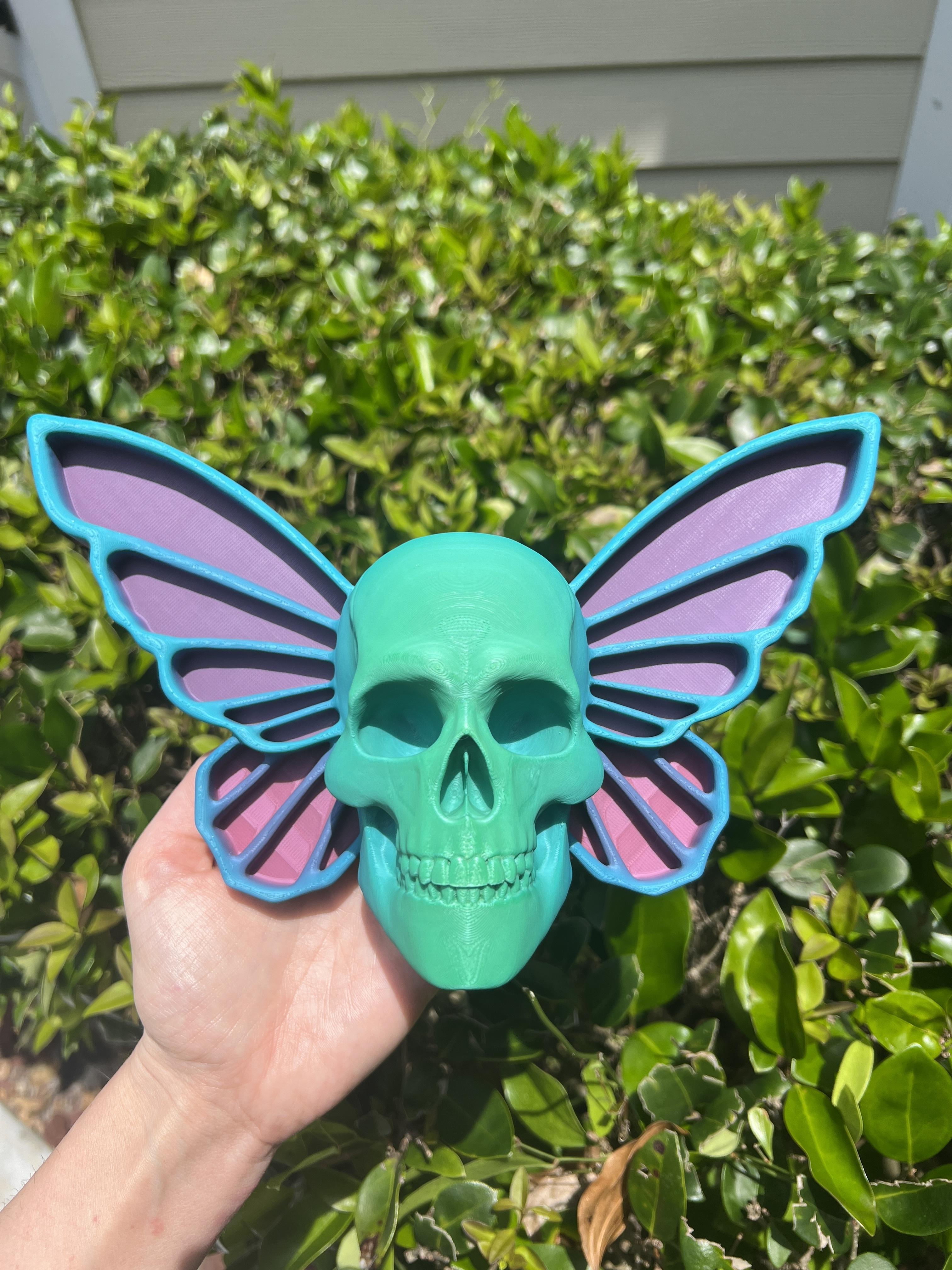 Butterfly Skull tray.stl 3d model