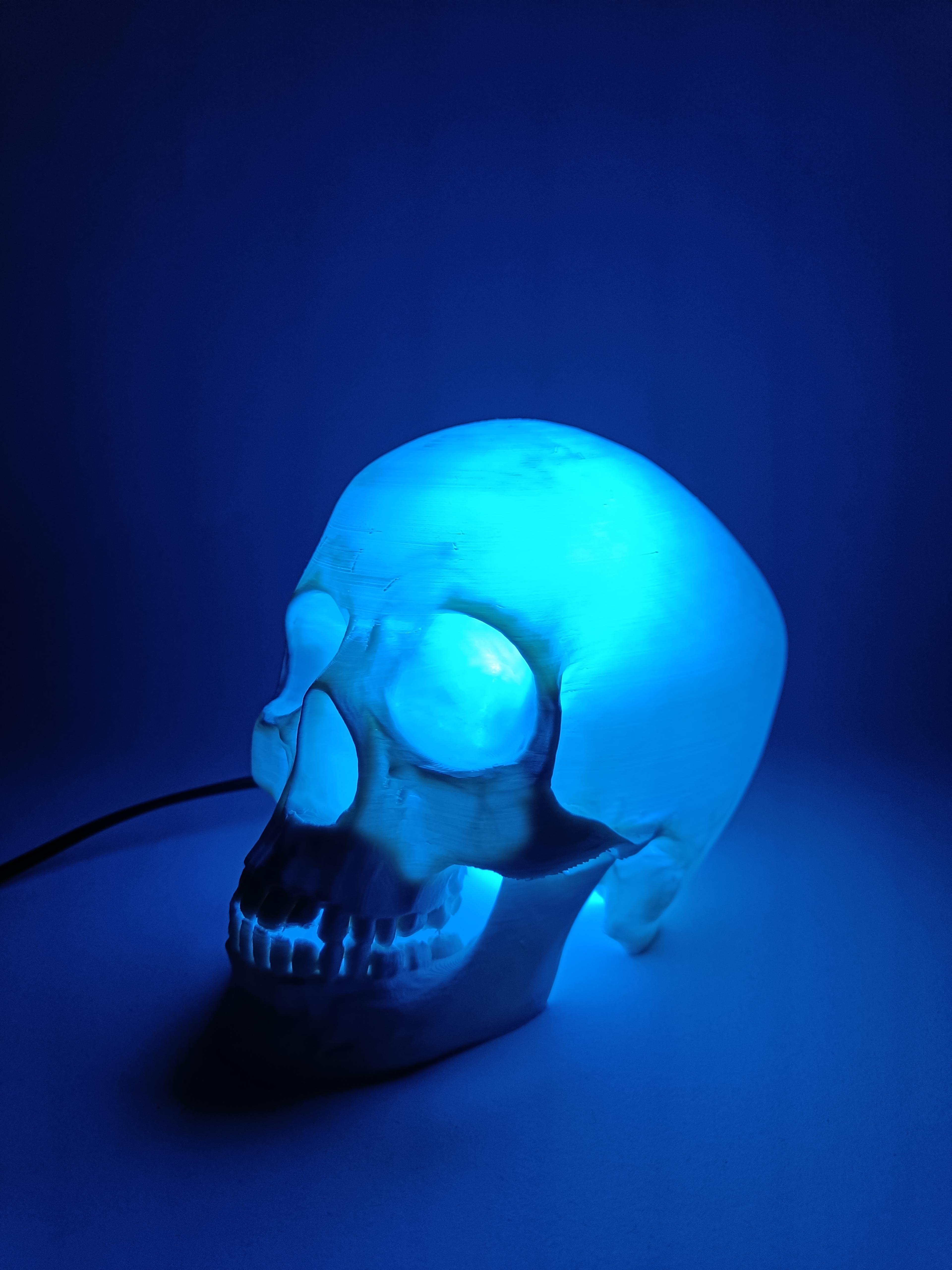 Skull Lamp 3d model