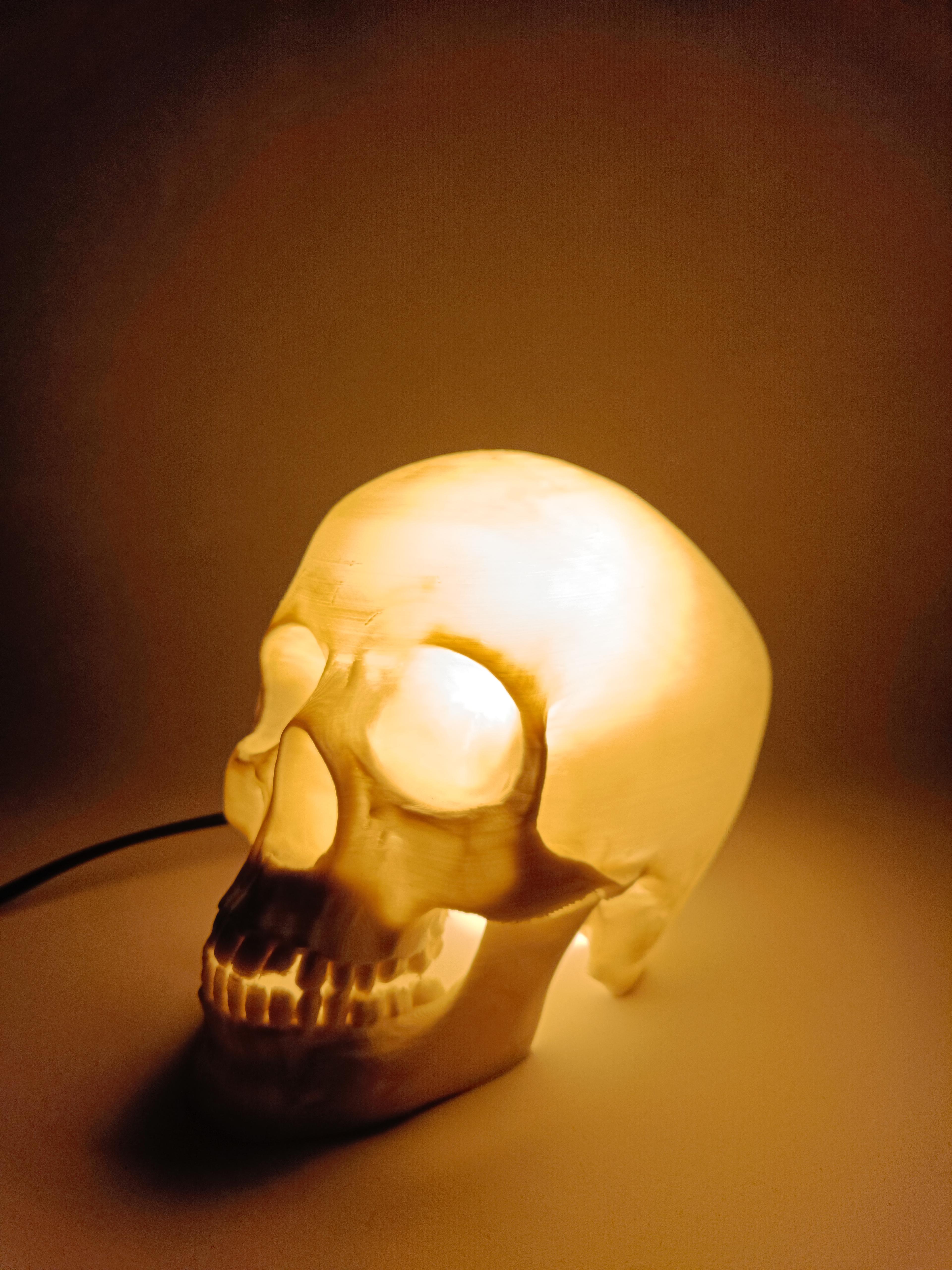 Skull Lamp 3d model