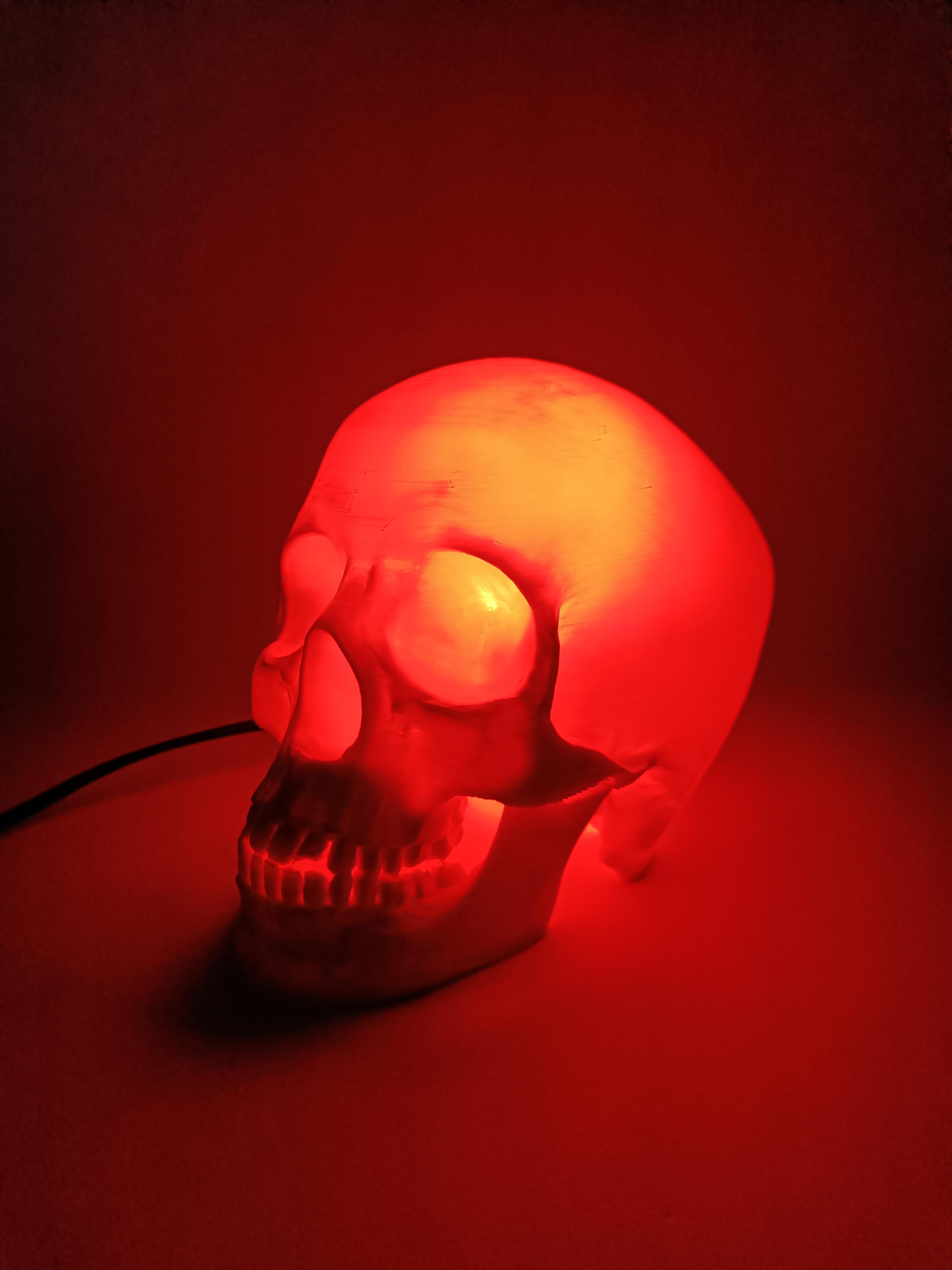 Skull Lamp 3d model