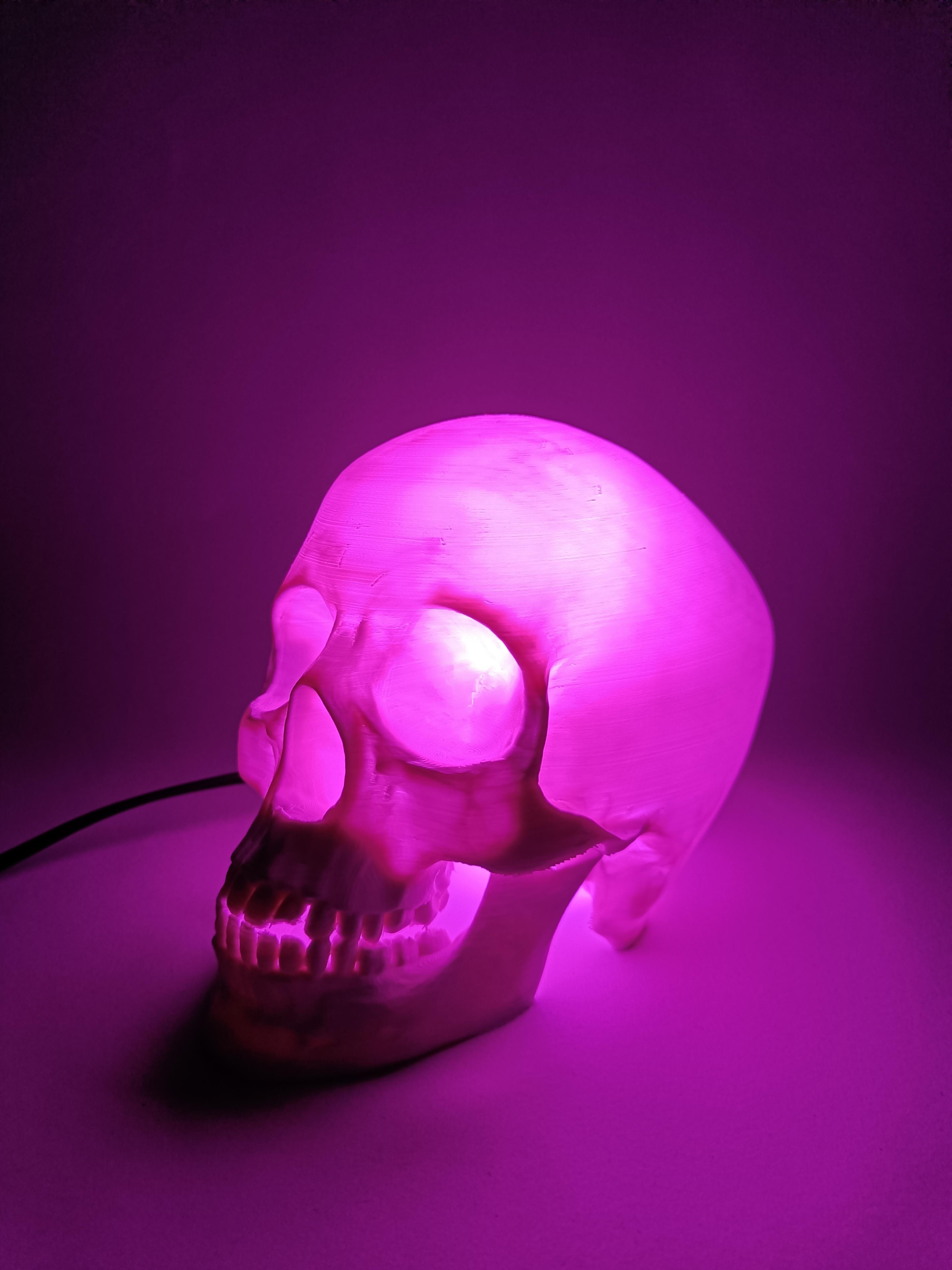 Skull Lamp 3d model