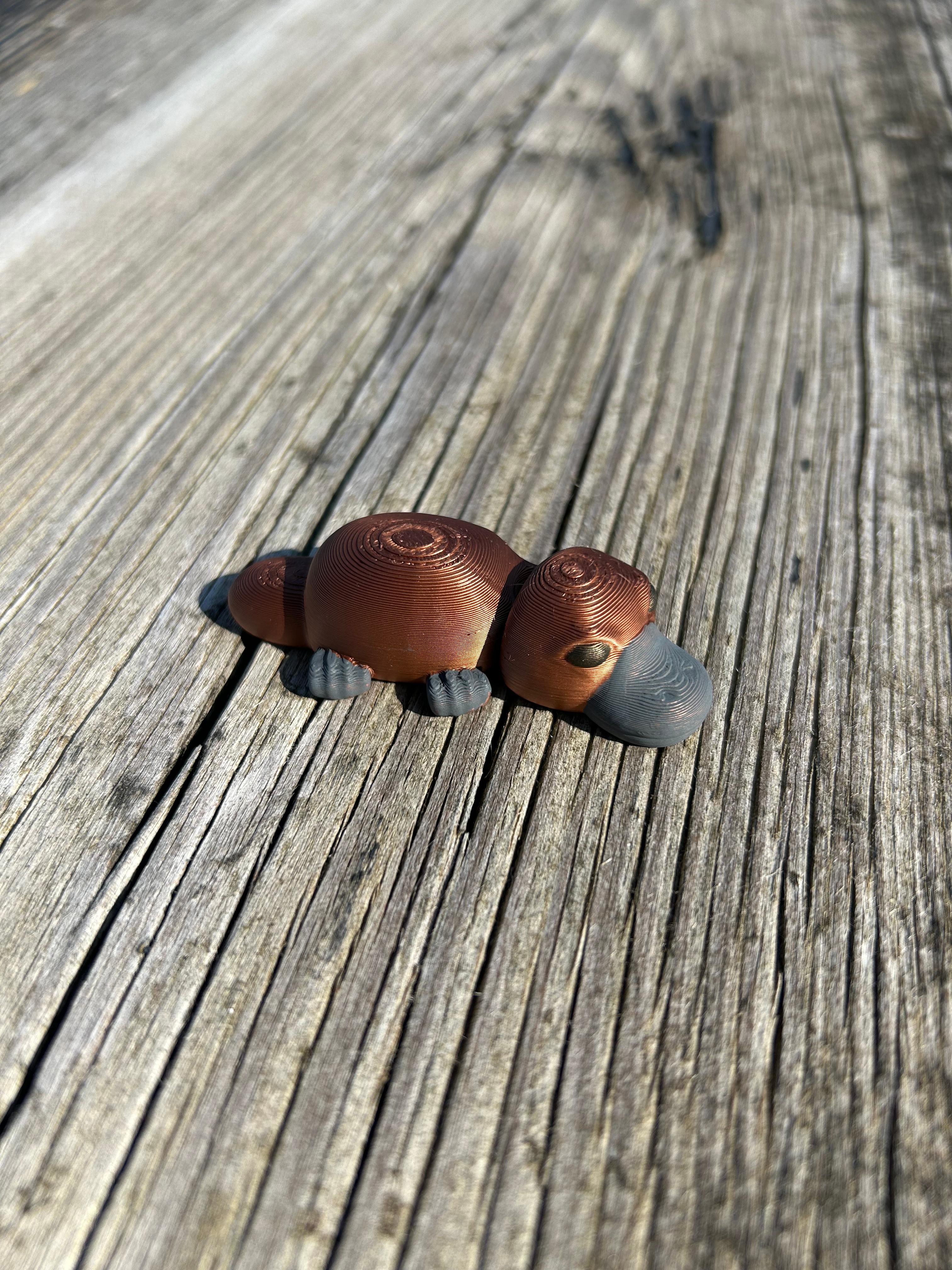 Platypus Single Joint Fidget 3d model