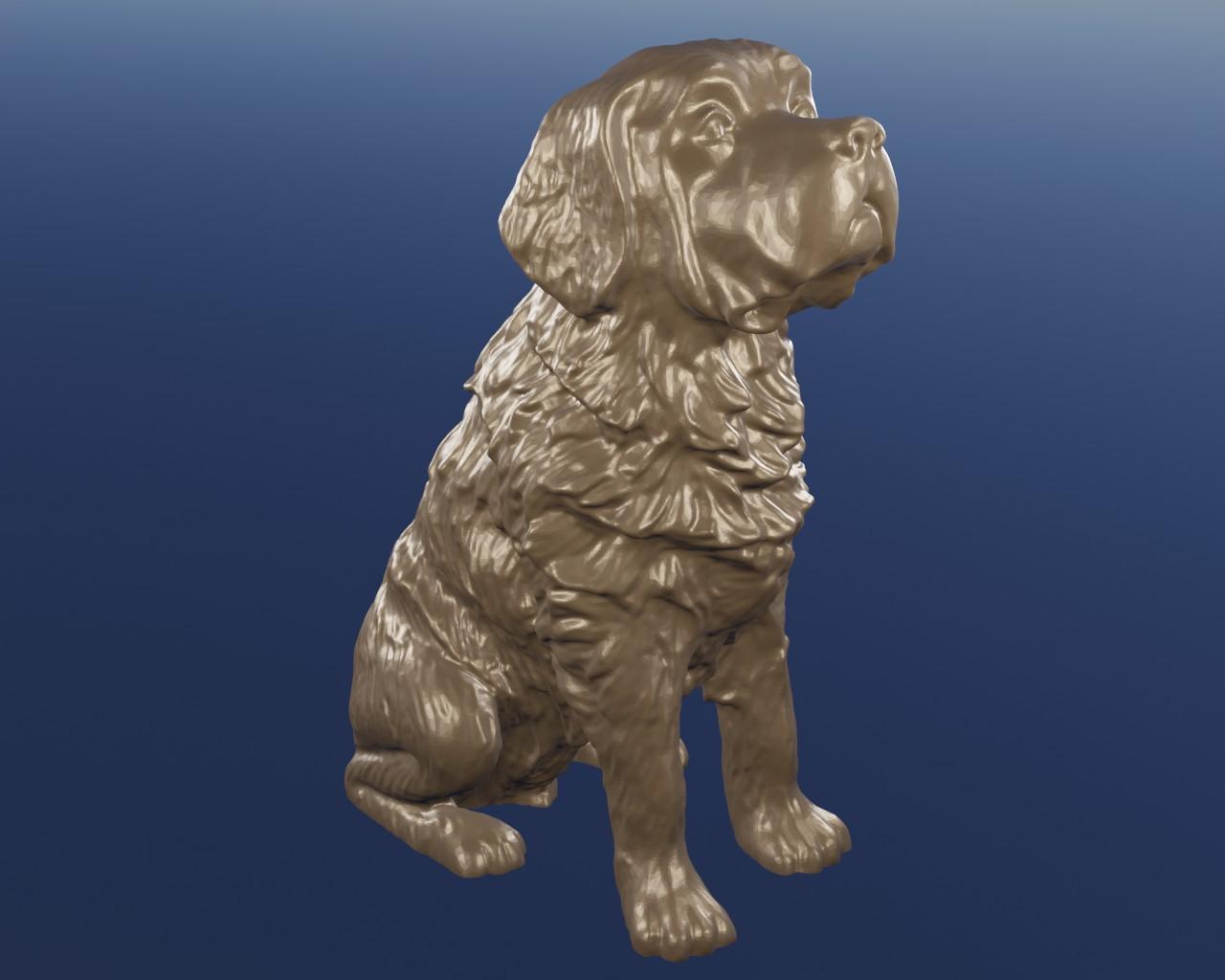 Saint Bernard 3d model