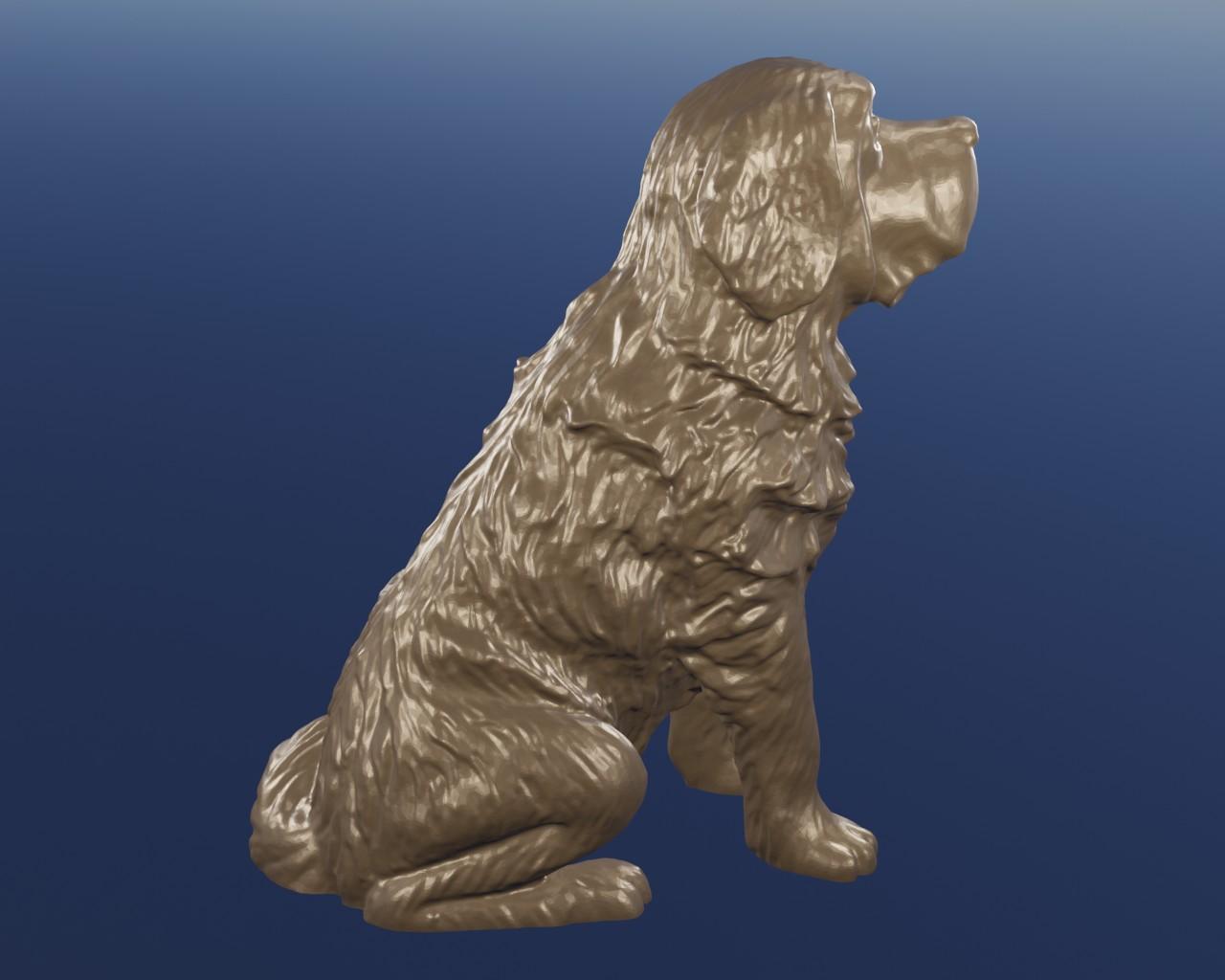 Saint Bernard 3d model