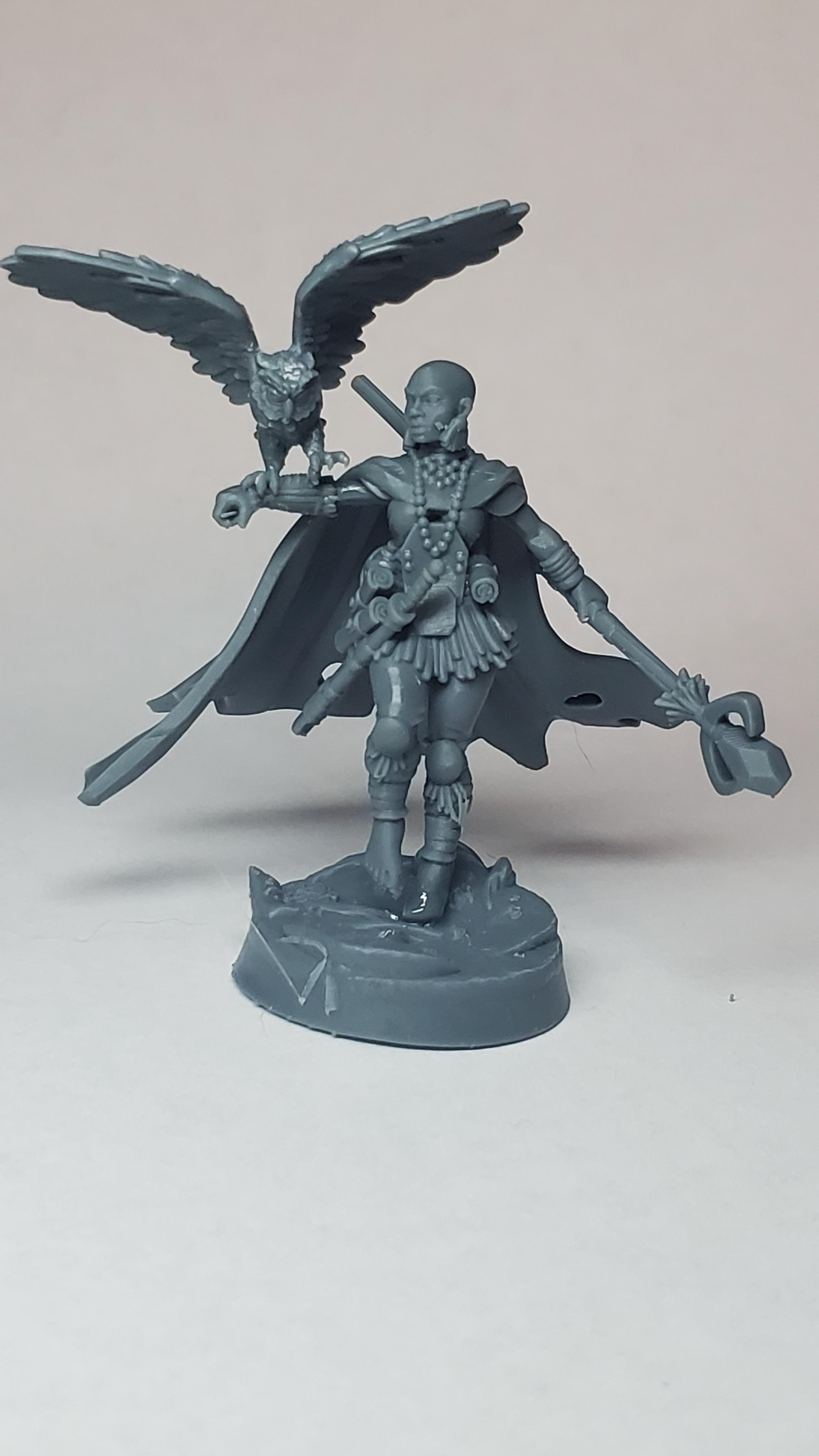 Spirit Walker  - Printed well, good detail! Enjoyed the print - 3d model