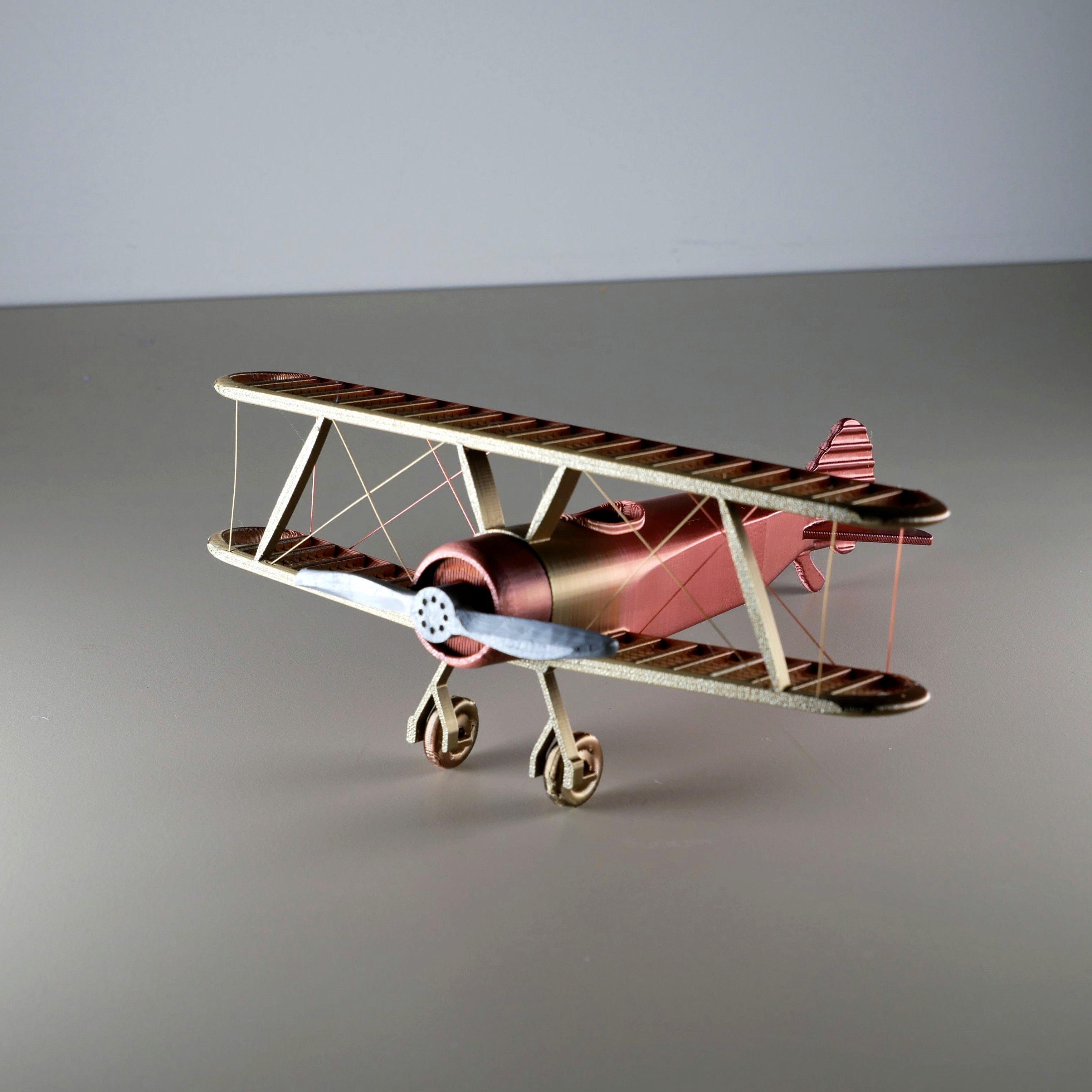 String Biplane:  No Supports 3d model