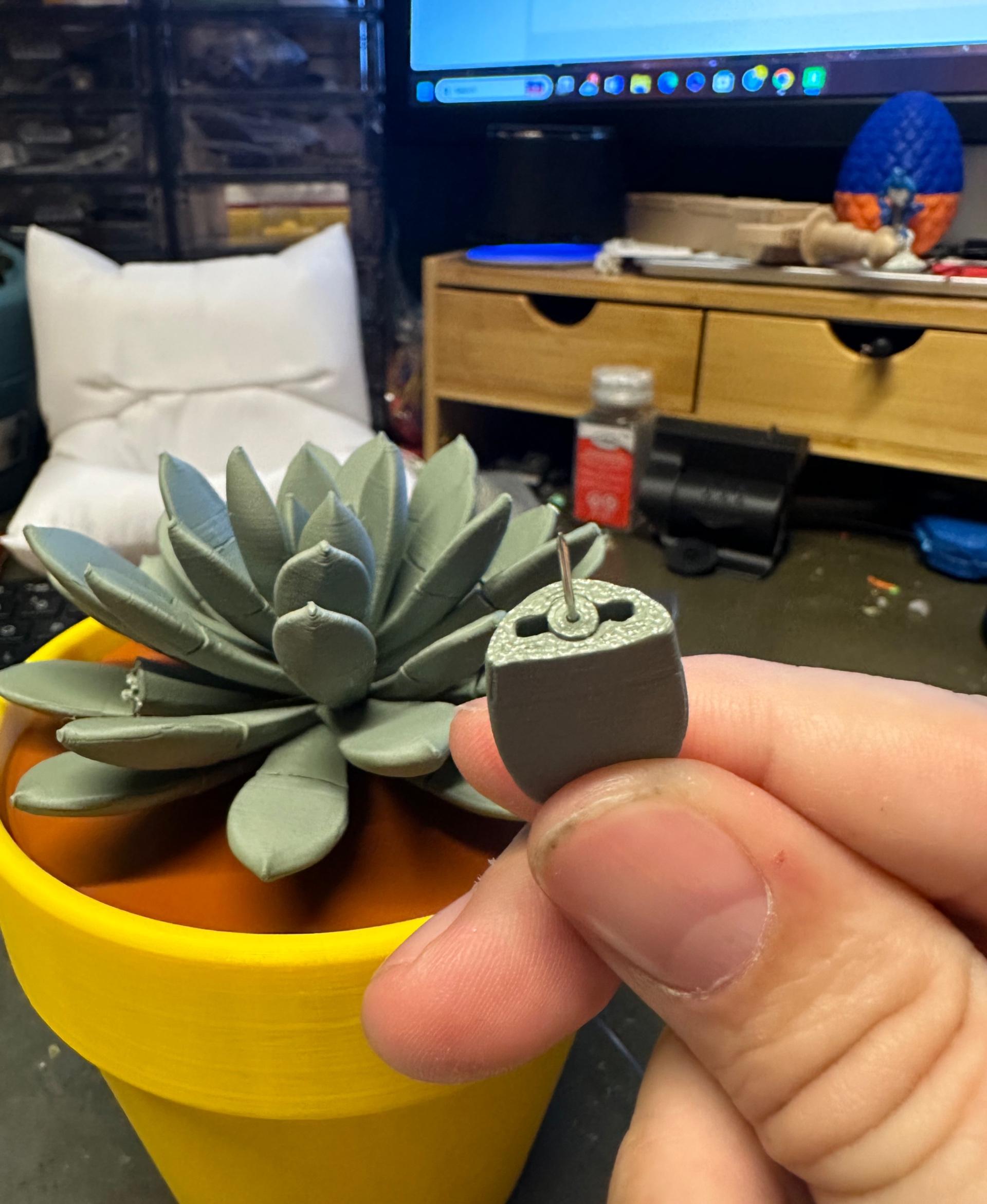 Push Pin Succulent 3d model