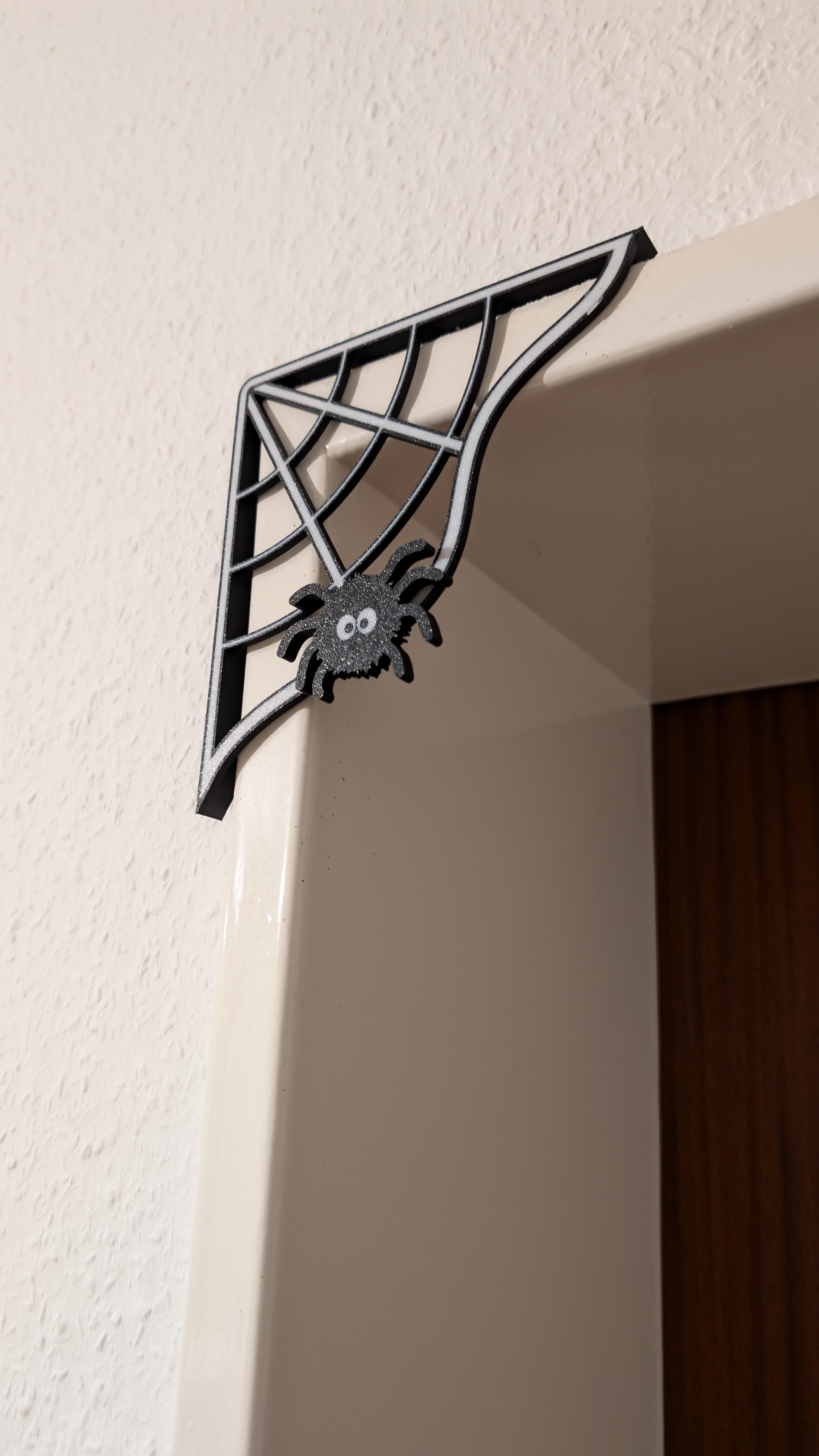 Spider web 3d model