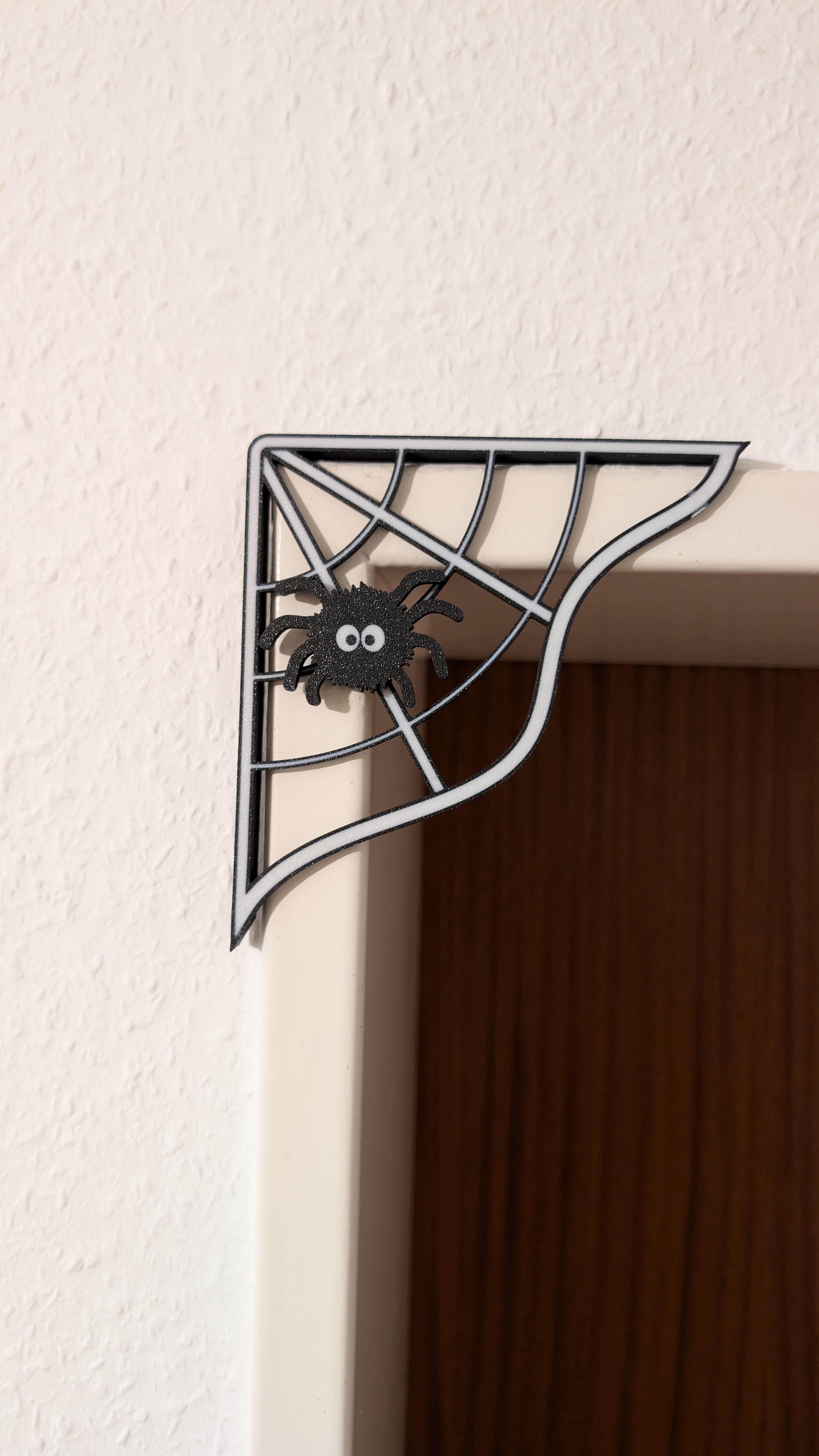 Spider web 3d model