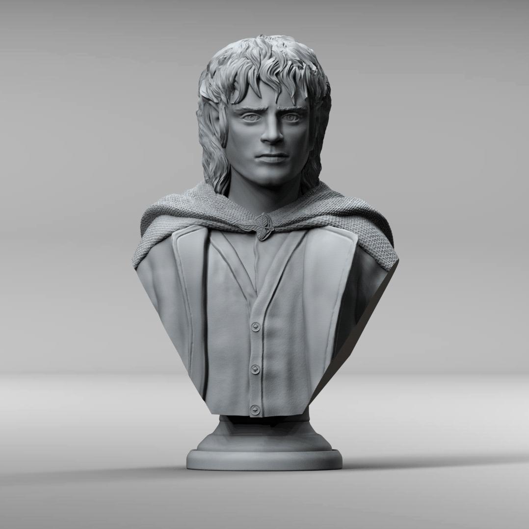 Frodo Baggins bust - Lord of the Rings (Pre-Supported) 3d model