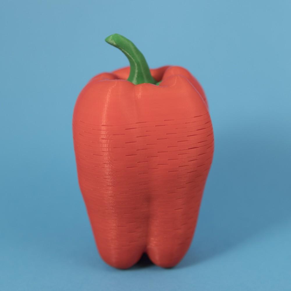 Bell Pepper Springo (2 sizes) 3d model