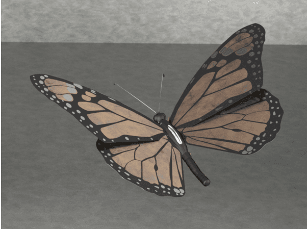 Monarch Butterfly 3d model