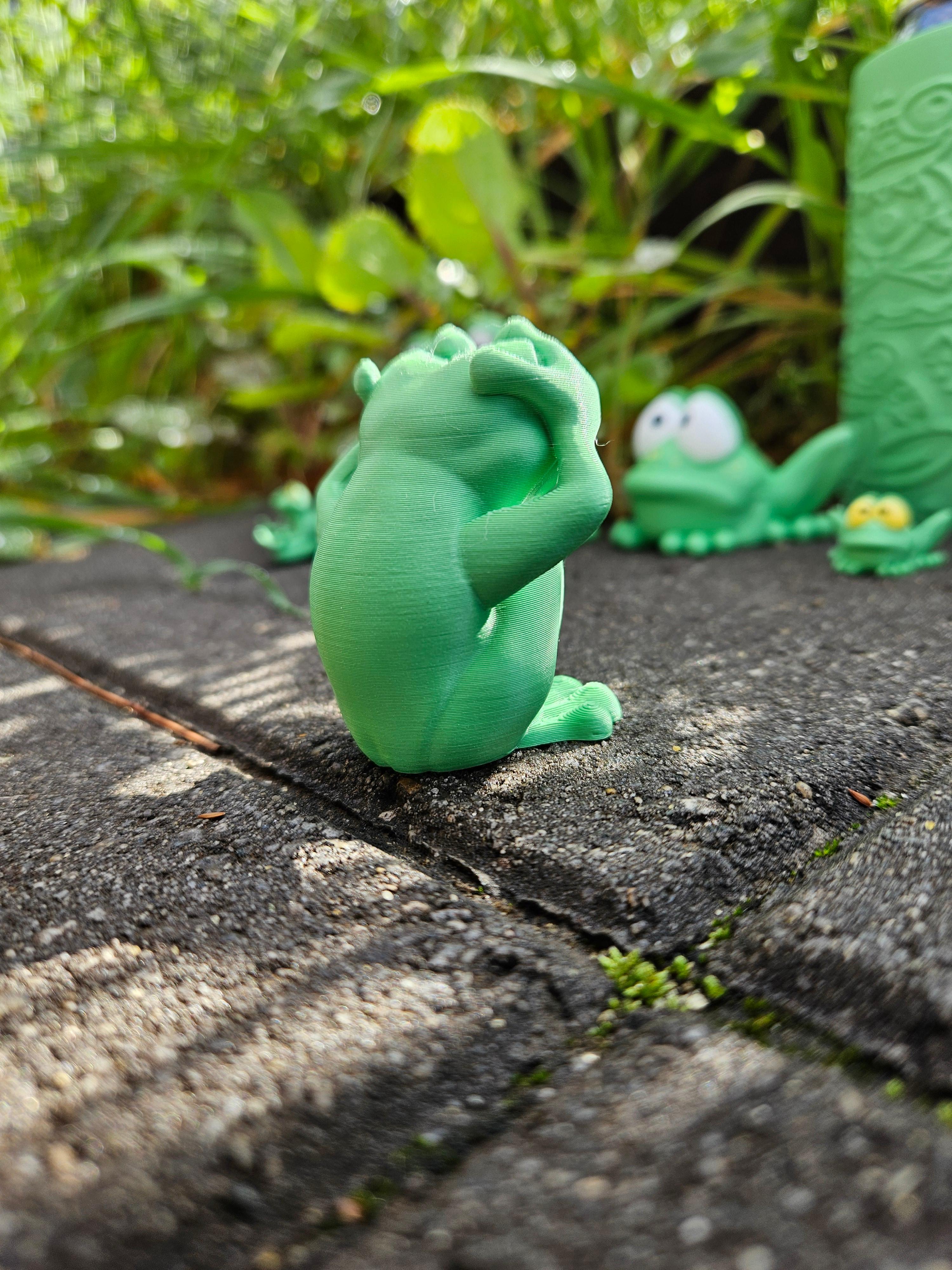 See No Evil Frog 3d model