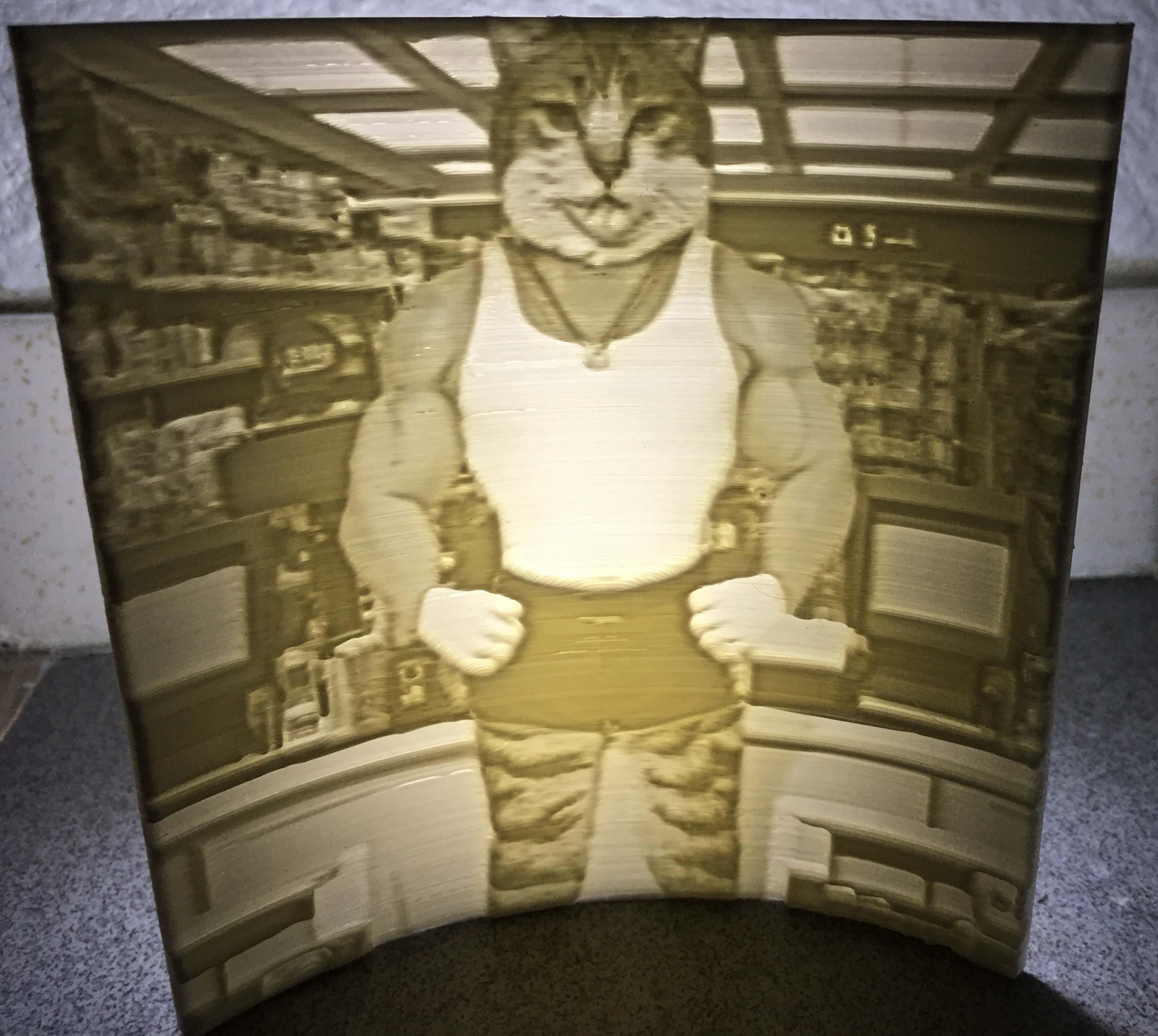 Lithophane of a House Cat Body Builder 3d model