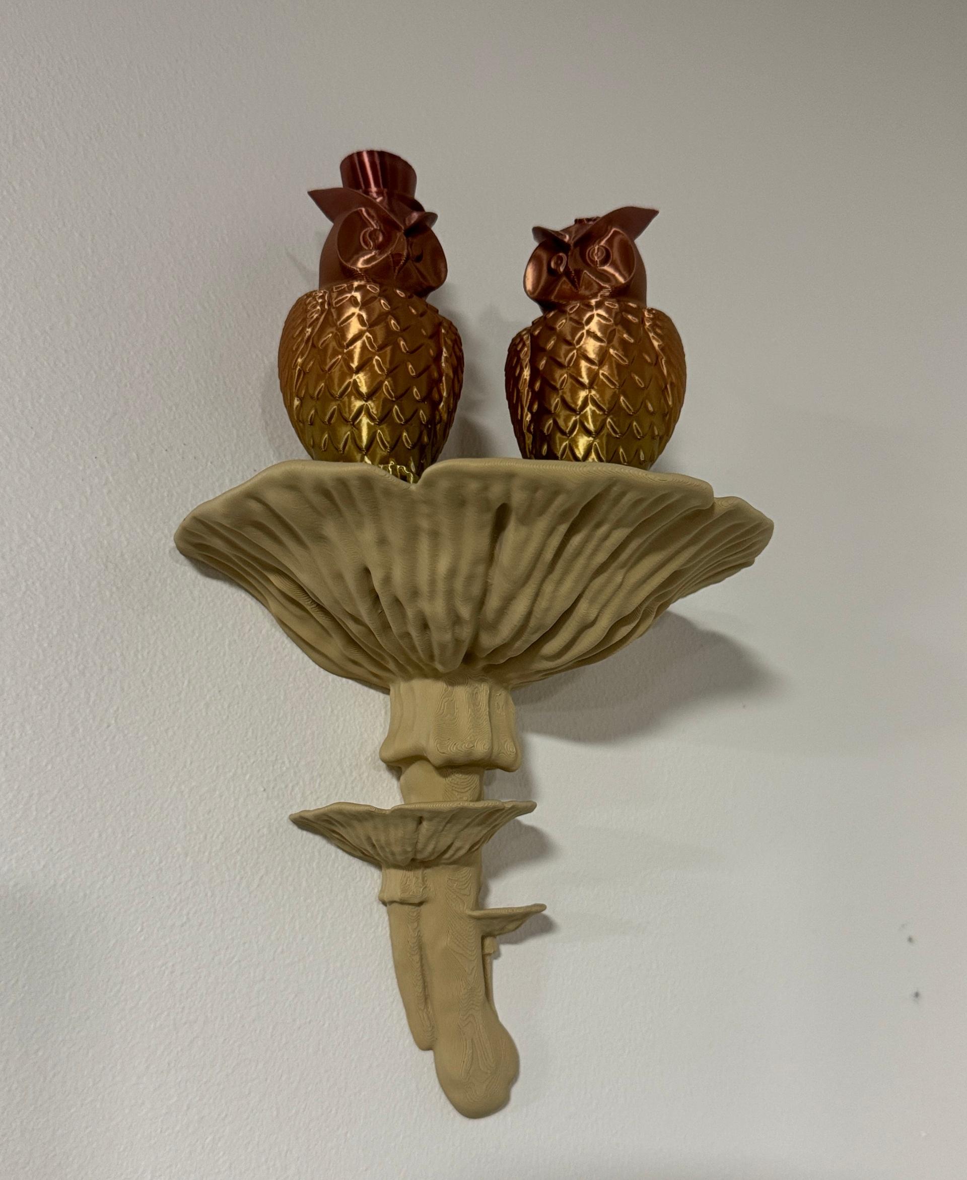 Mushroom shelf “Amanita Caesarea” - Very nice model. The print came out wonderful and the bracket is perfect. Thank you for sharing your art! - 3d model