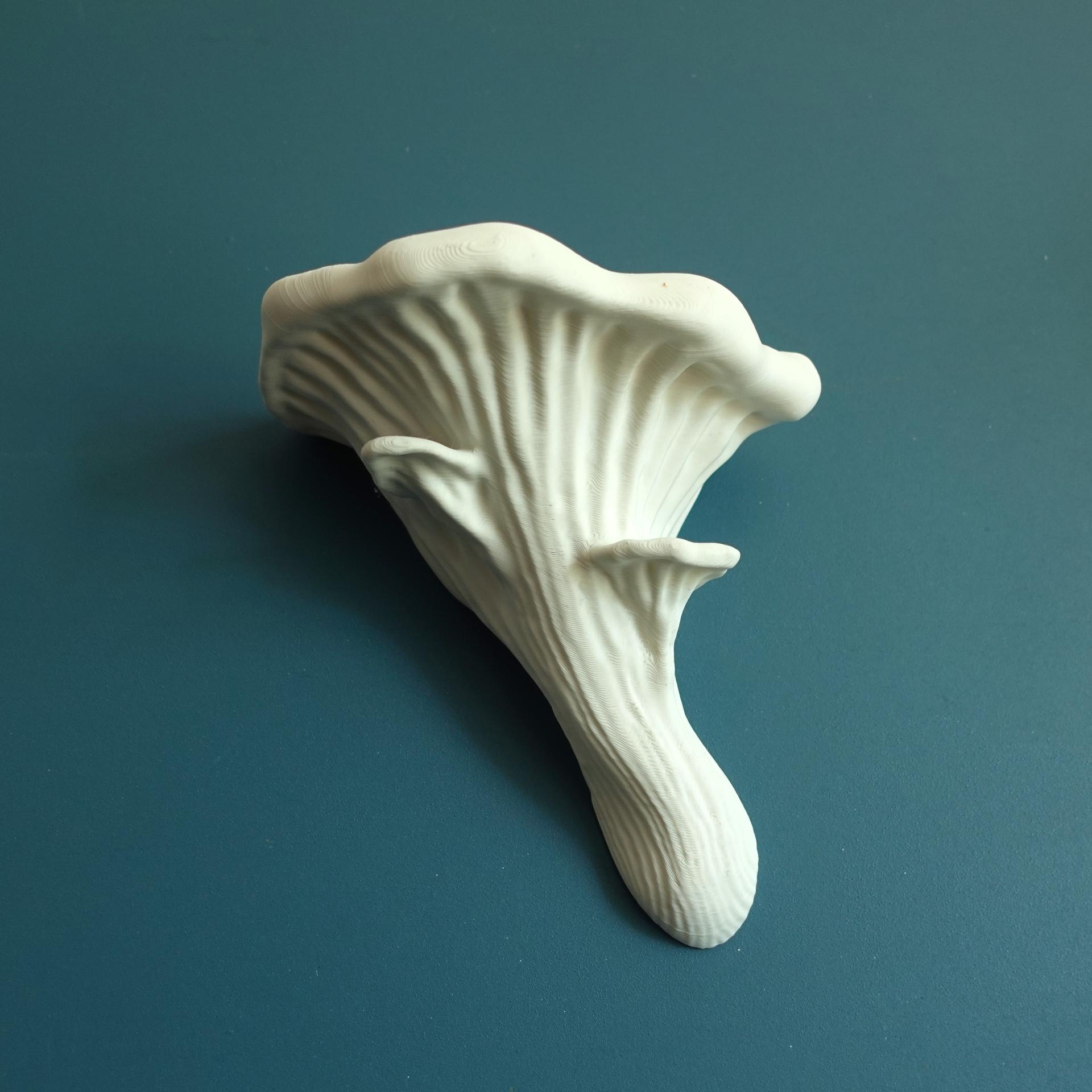 Mushroom shelf “Oyster” 3d model
