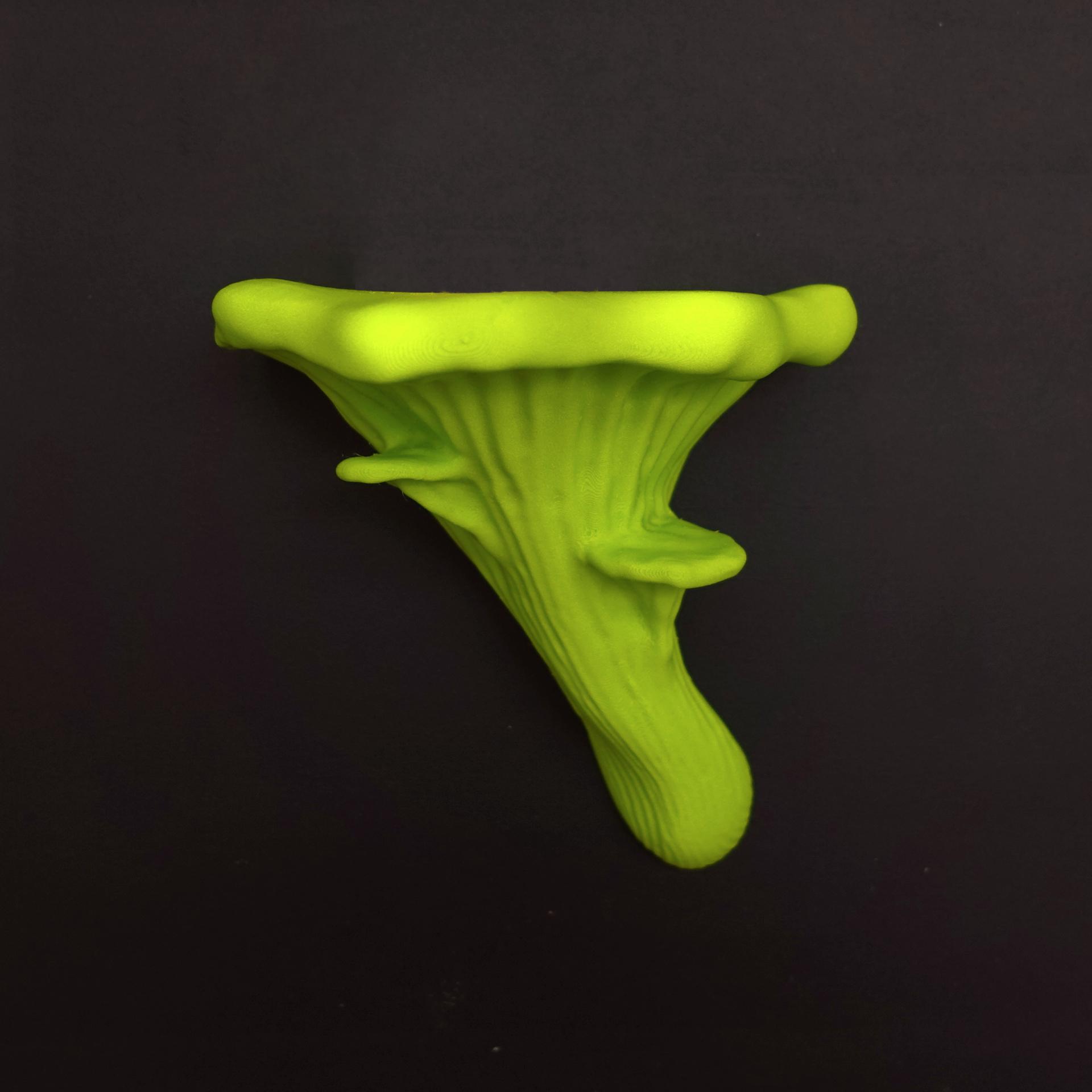 Mushroom shelf “Oyster” 3d model