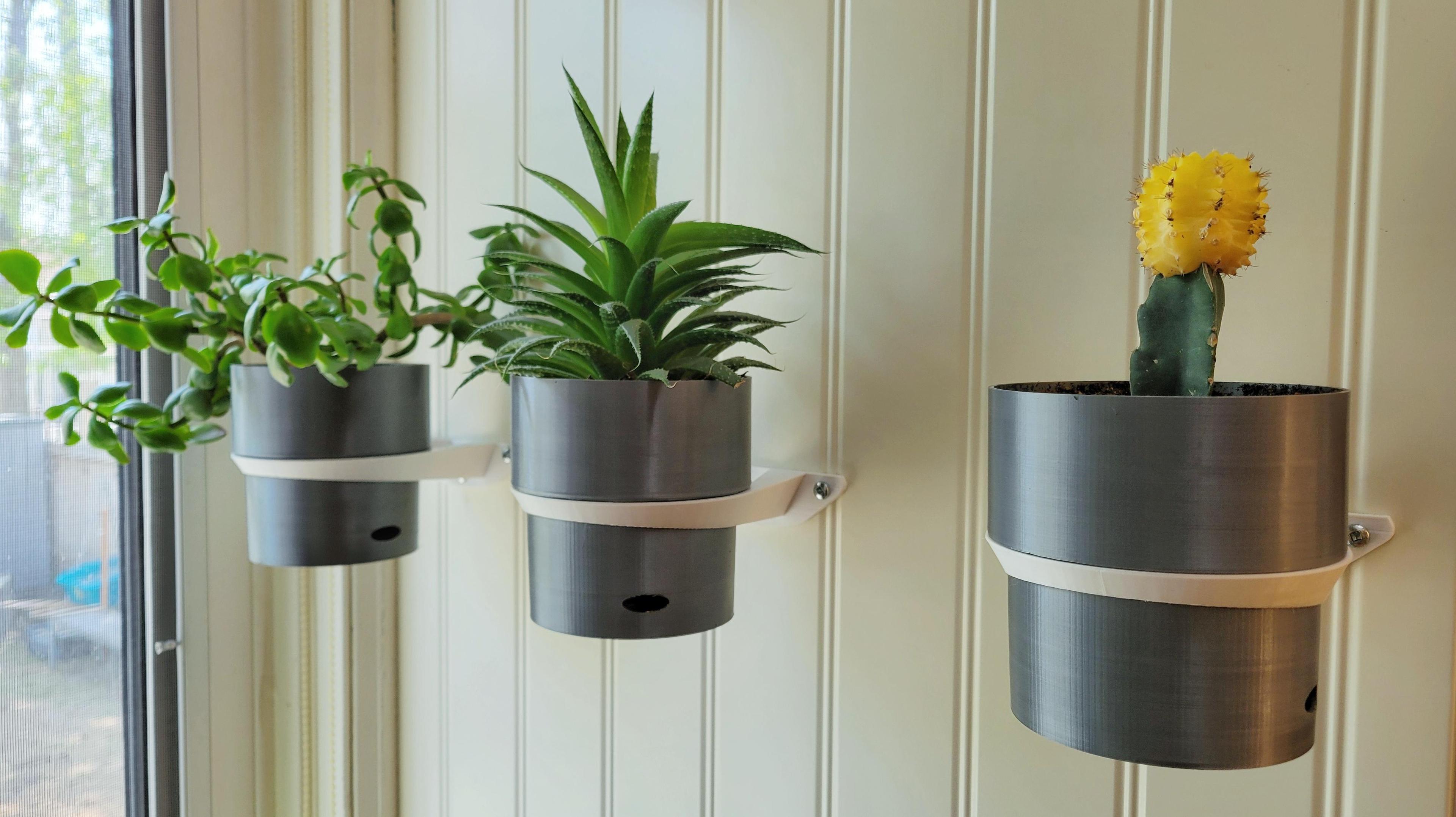 Wall Planter 3d model