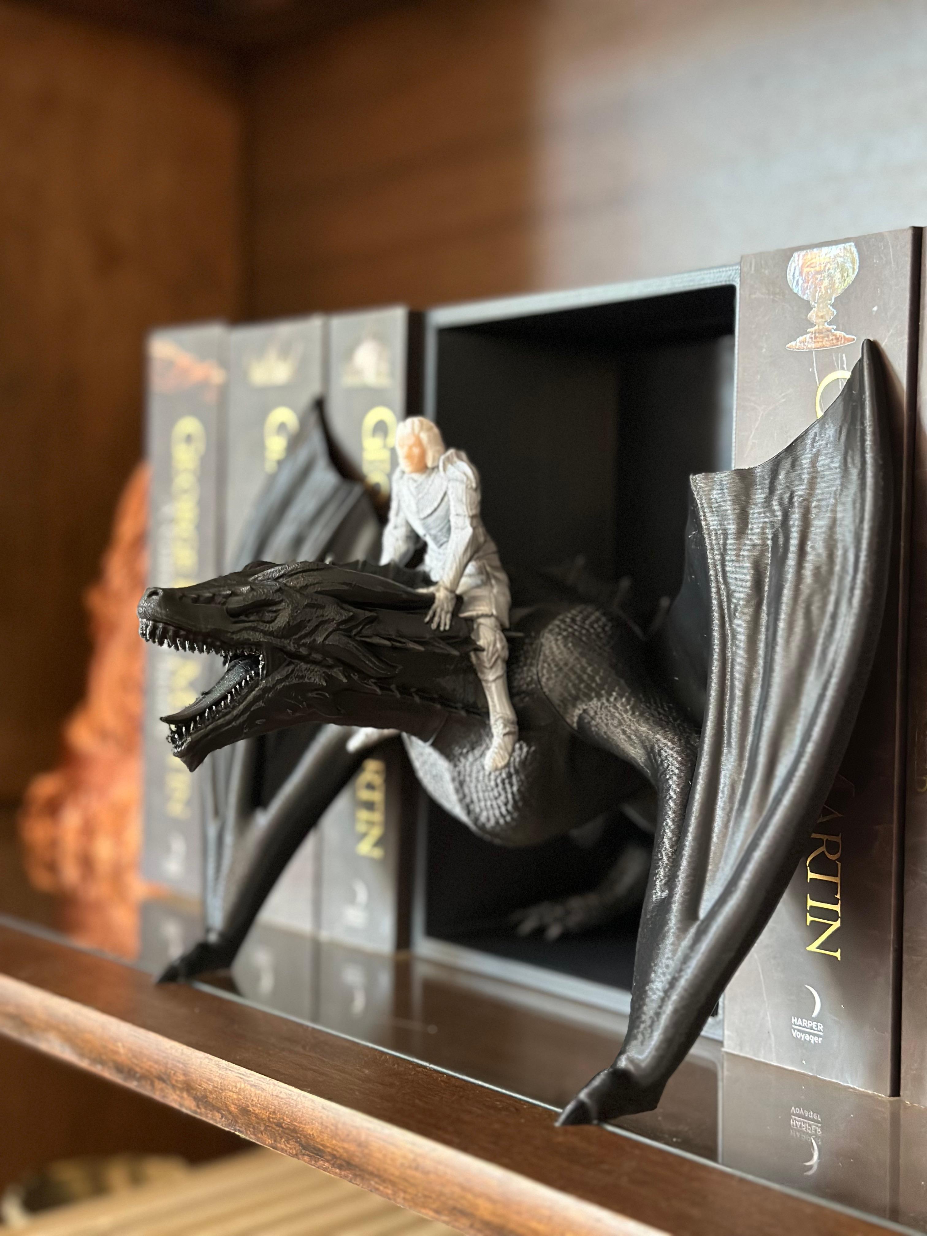 Dragon Rider Book Nook (Male, Female, and Solo Dragon Variation) 3d model